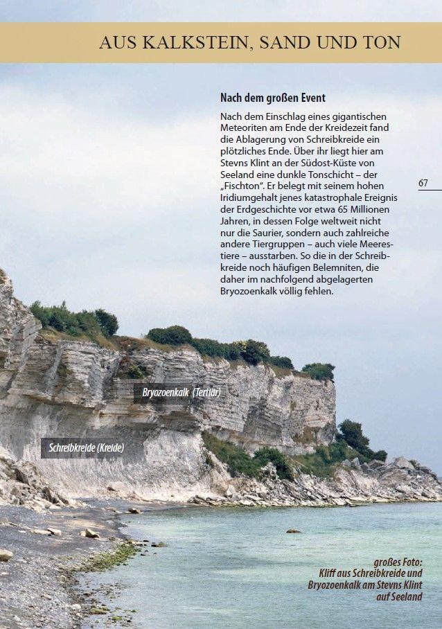 Beispielinhalt (Bild) Fossilien am Ostseestrand