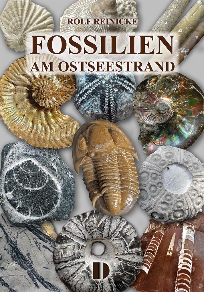 Vorderes Coverbild Fossilien am Ostseestrand