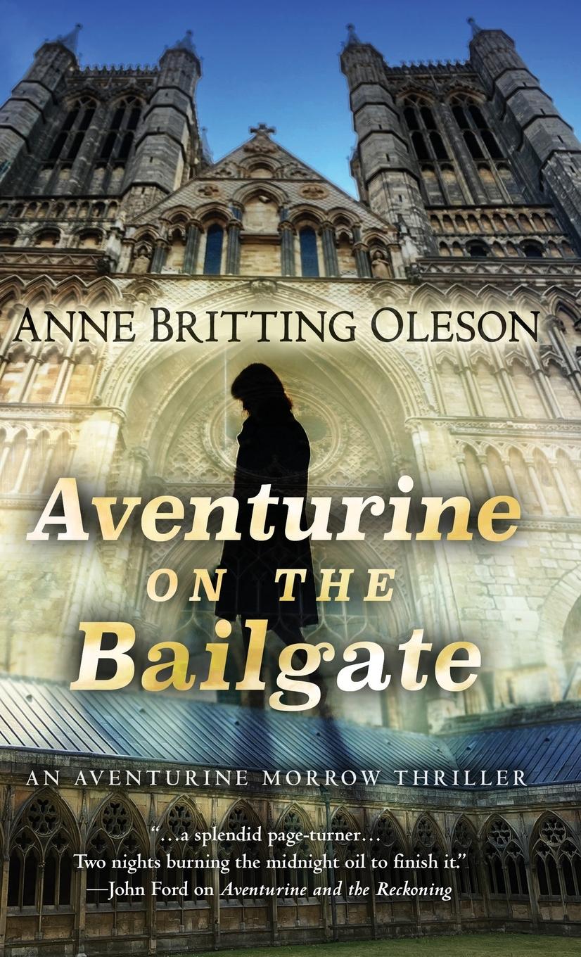 Vorderes Coverbild Aventurine on the Bailgate