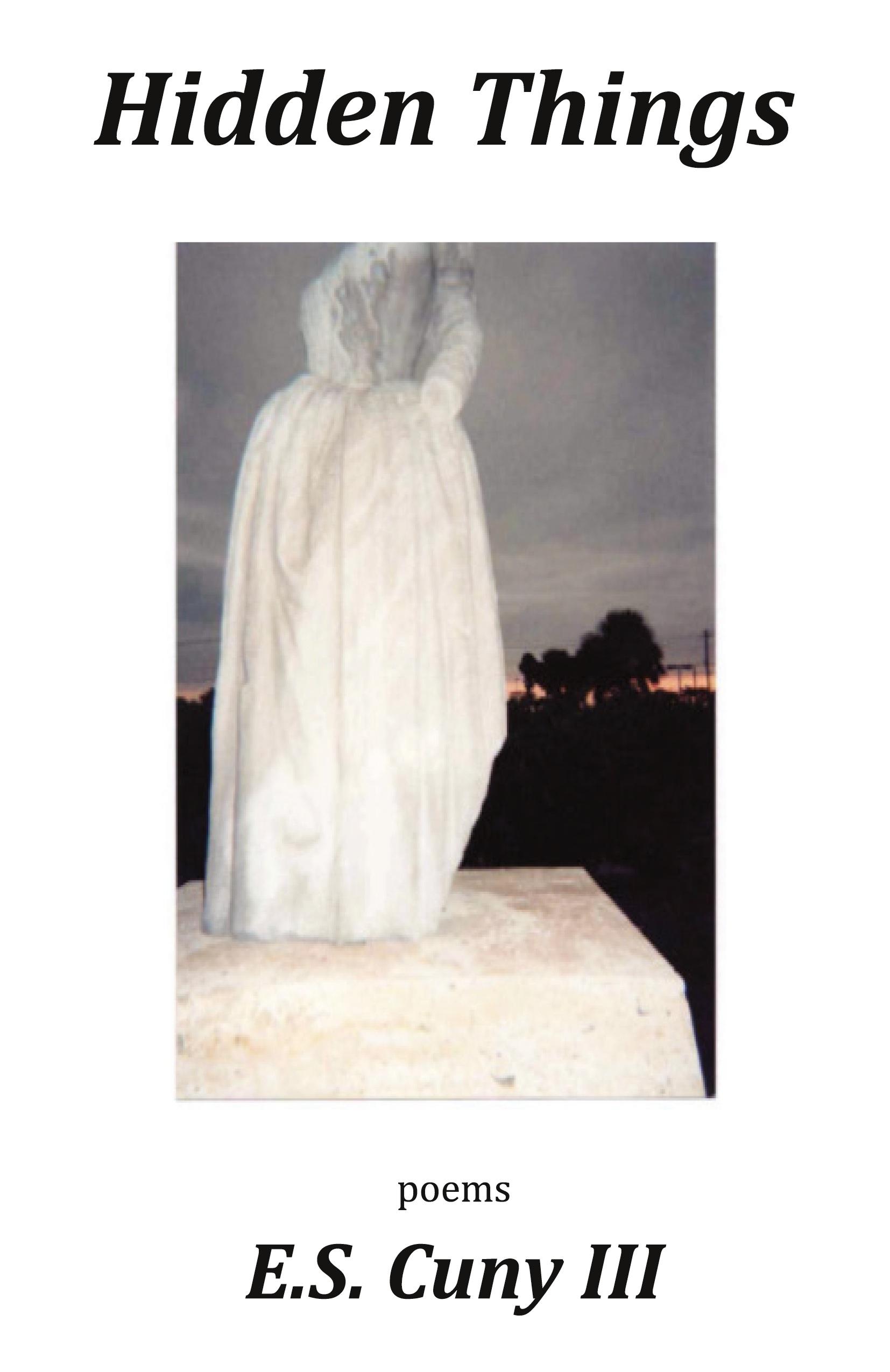 Vorderes Coverbild Hidden Things