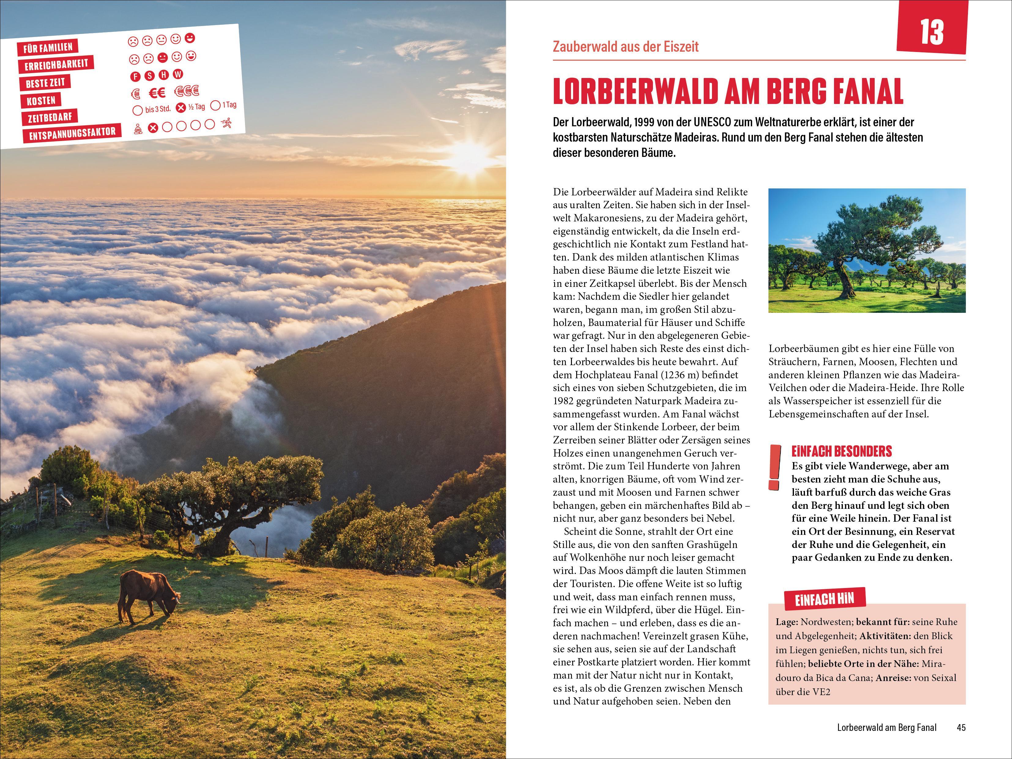 Beispielinhalt (Bild) Einfach Madeira!