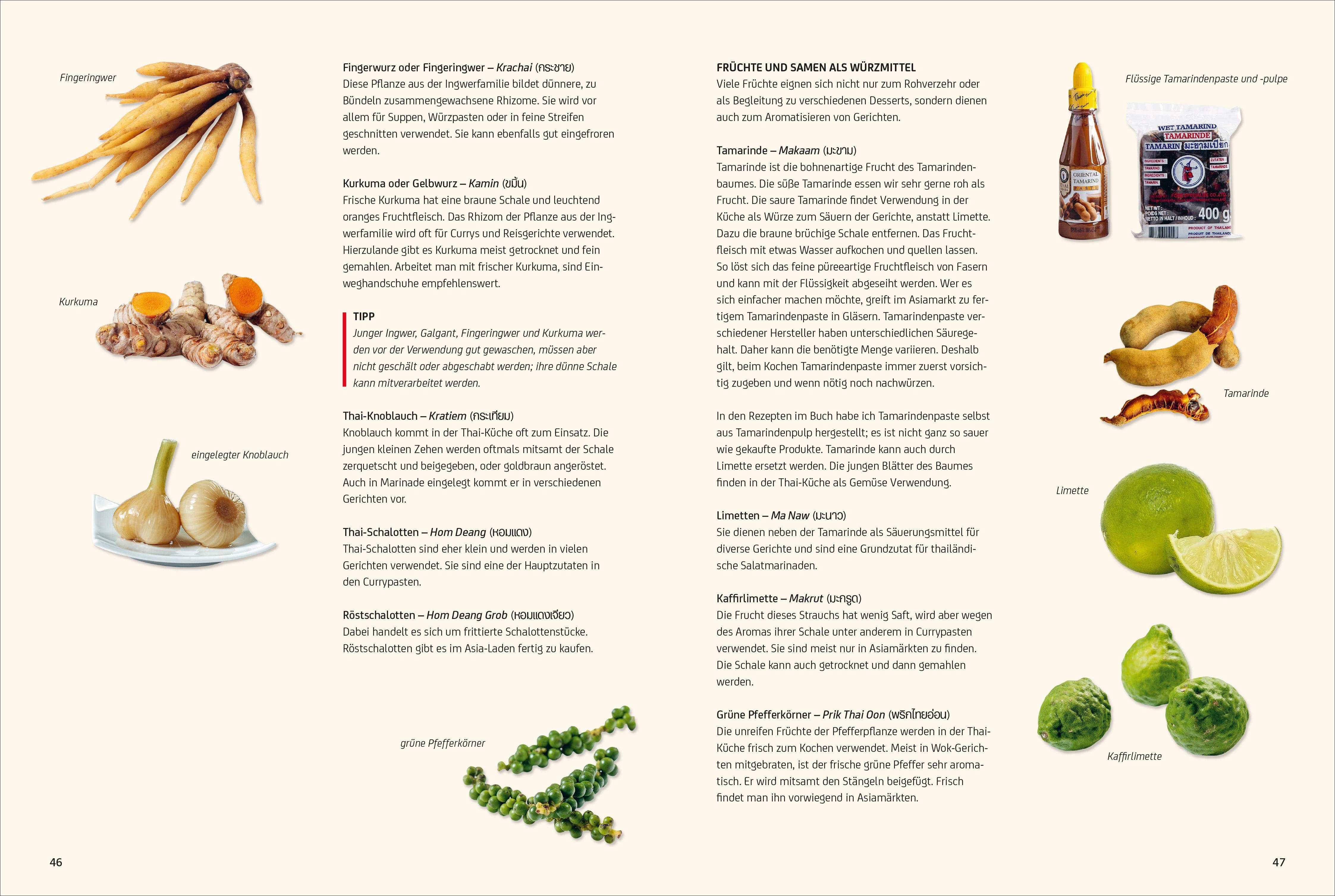 Beispielinhalt (Bild) Vegan Thai
