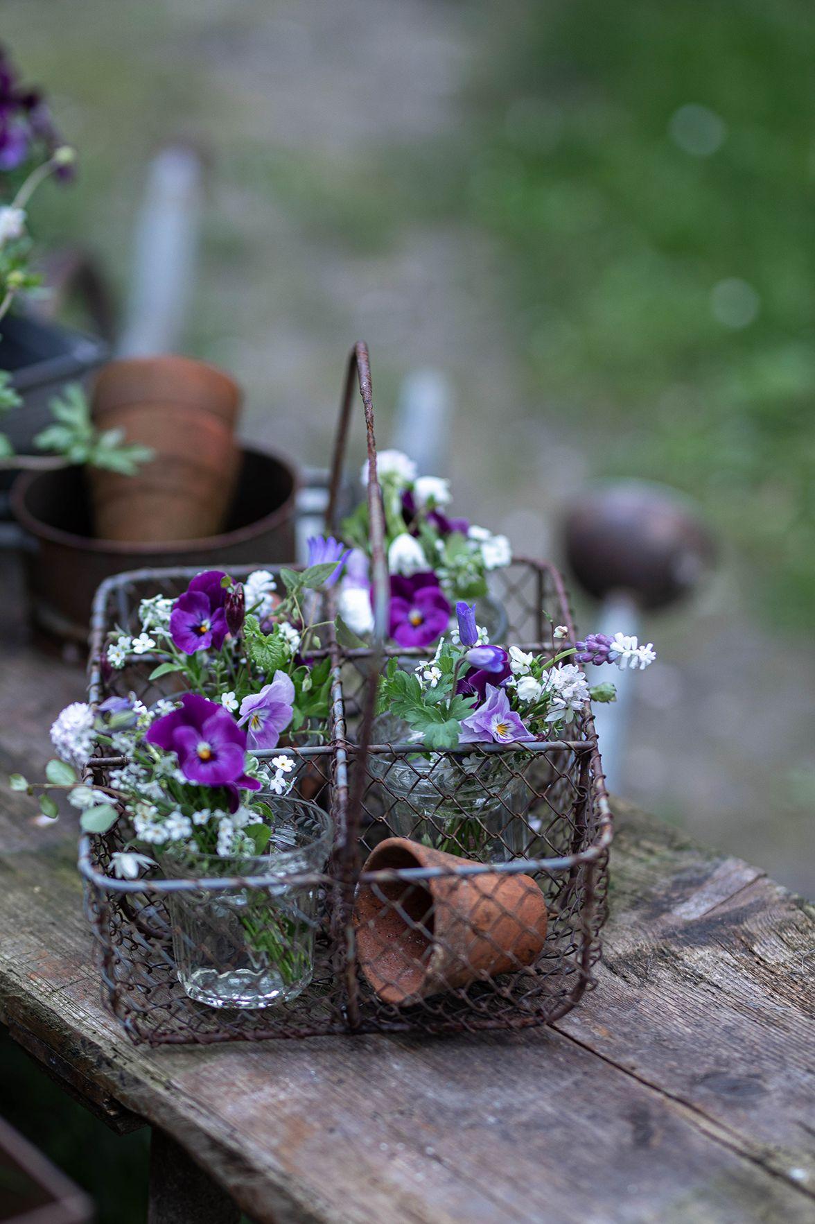 Beispielinhalt (Bild) Französisches Landhaus-Flair