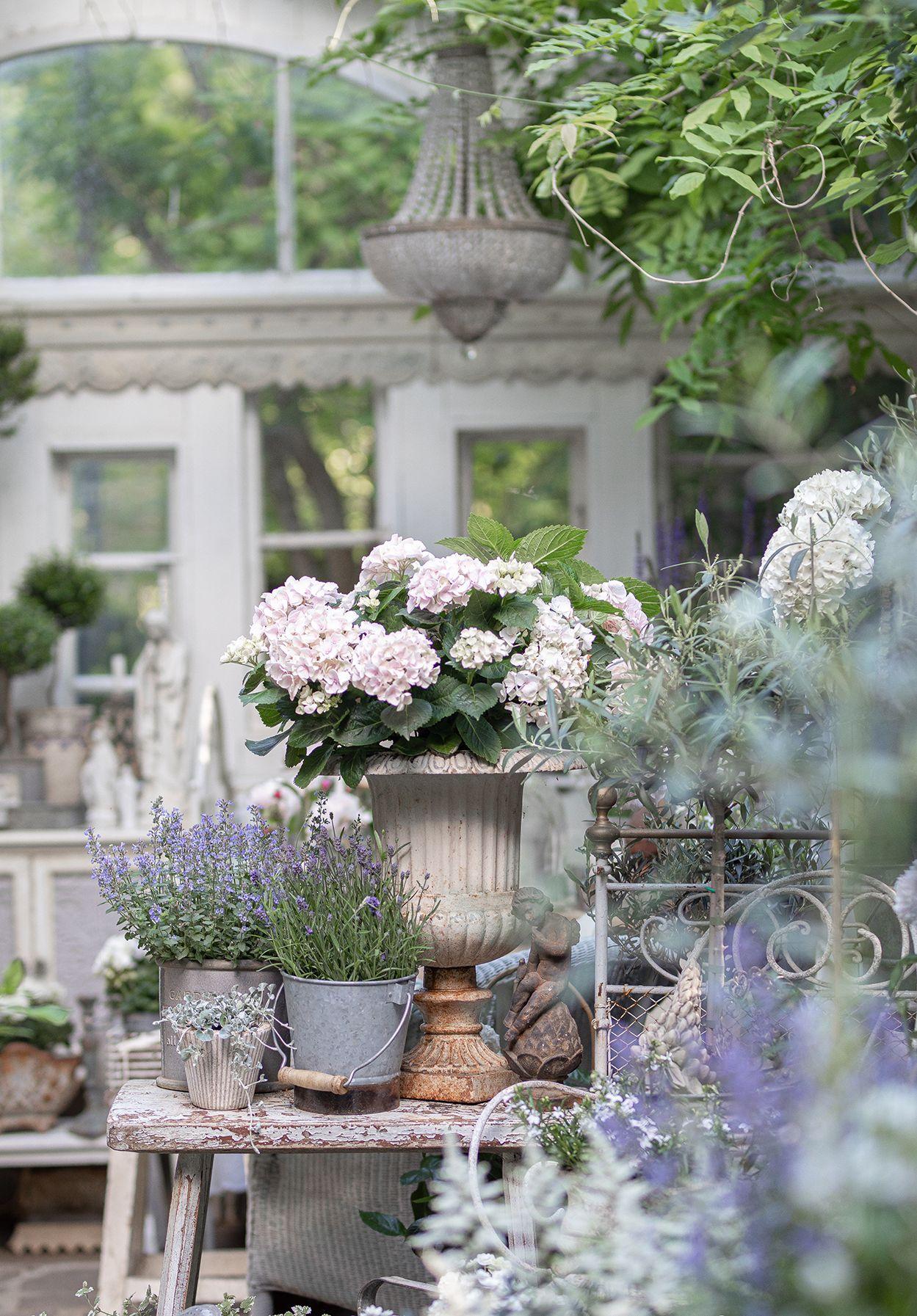 Beispielinhalt (Bild) Französisches Landhaus-Flair