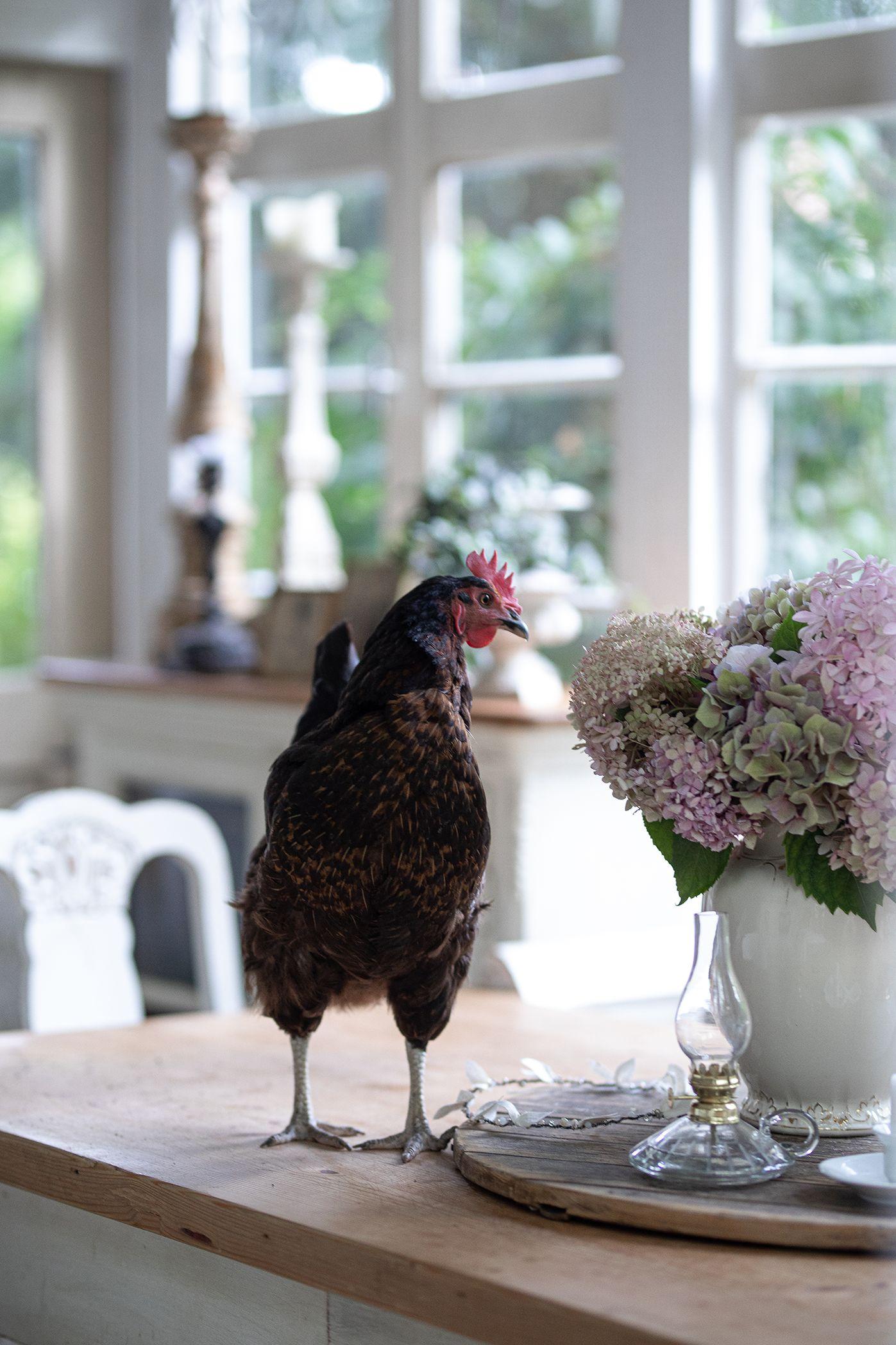 Beispielinhalt (Bild) Französisches Landhaus-Flair