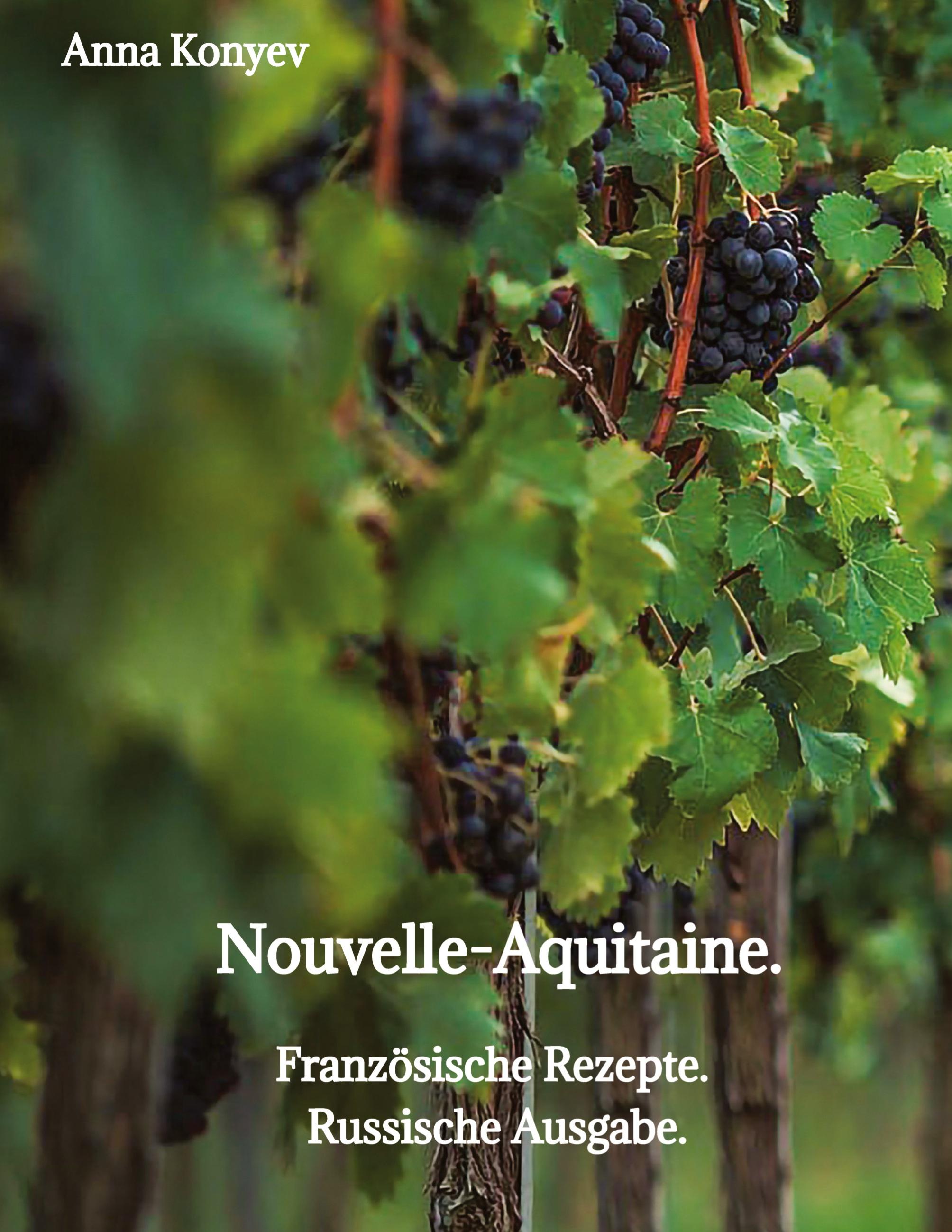 Vorderes Coverbild Nouvelle-Aquitaine.