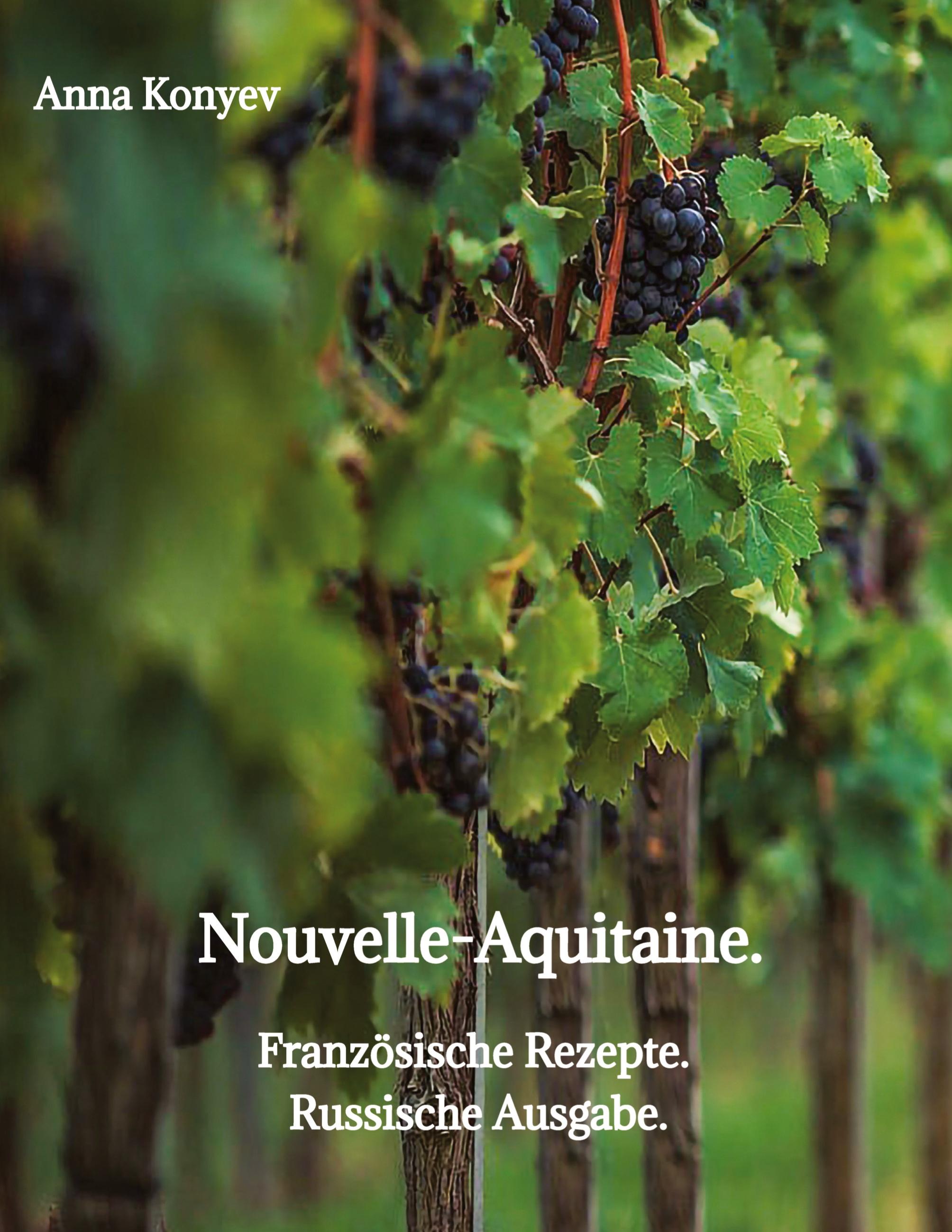 Vorderes Coverbild Nouvelle-Aquitaine.