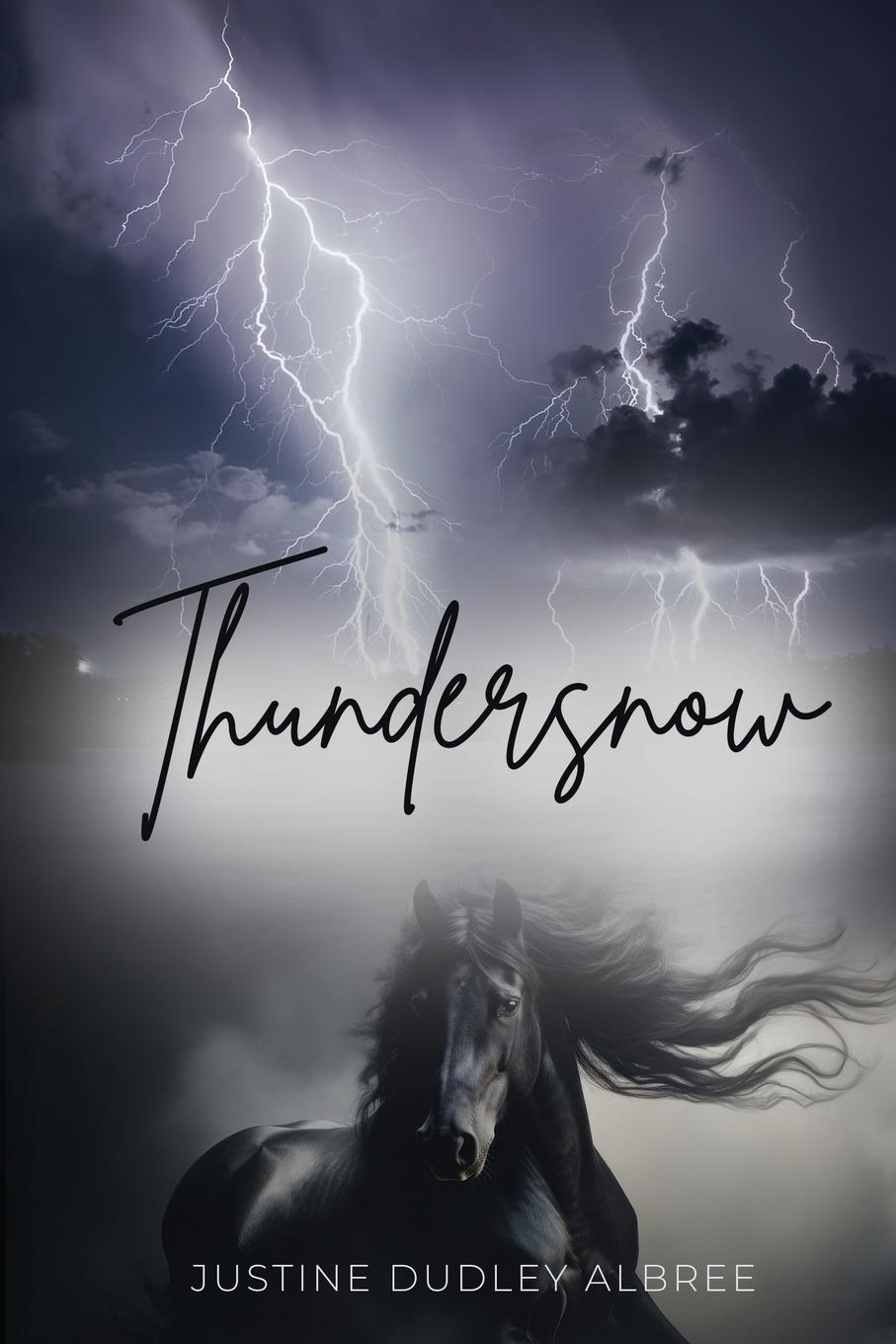 Vorderes Coverbild Thundersnow