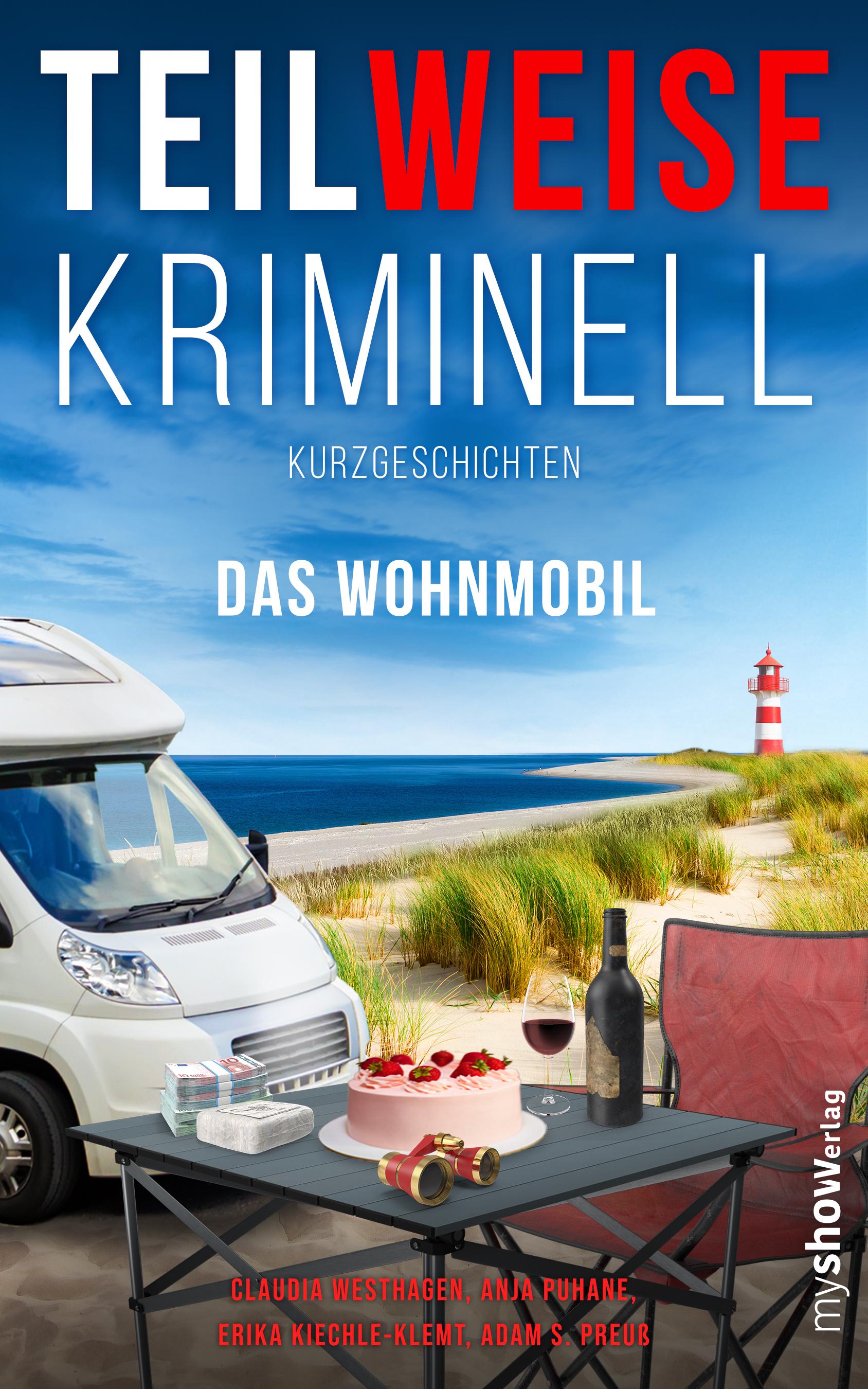 Vorderes Coverbild TEILWEISE KRIMINELL. Das Wohnmobil