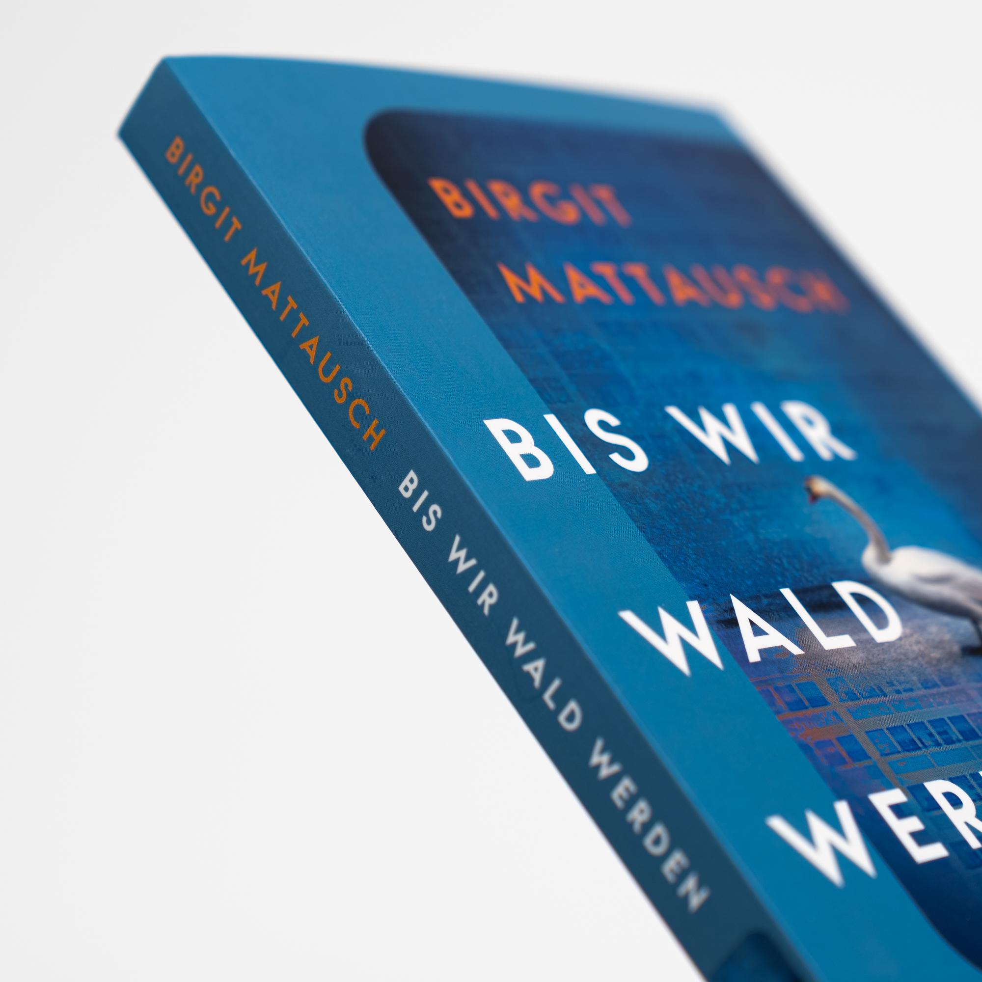 Beispielinhalt (Bild) Bis wir Wald werden