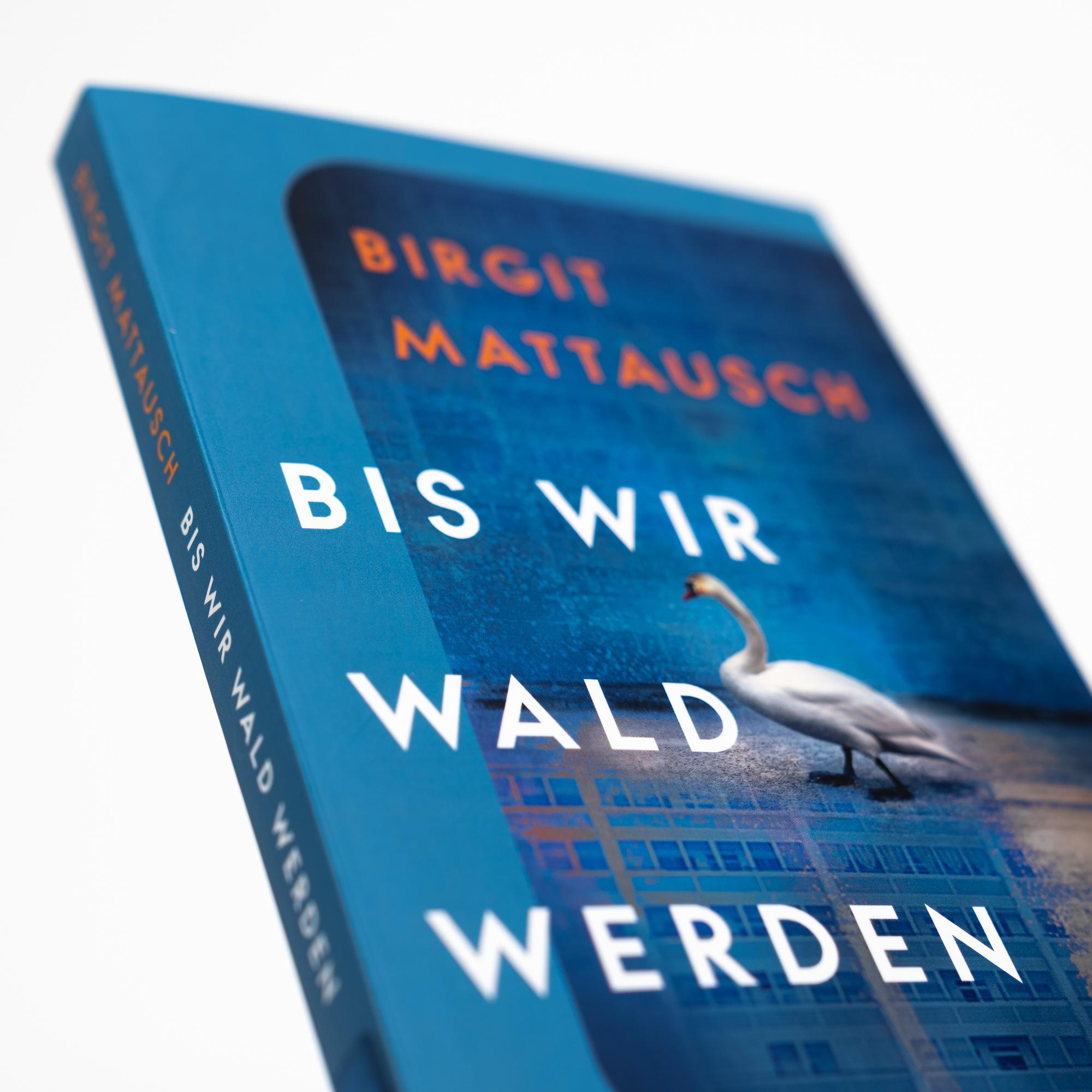 Beispielinhalt (Bild) Bis wir Wald werden