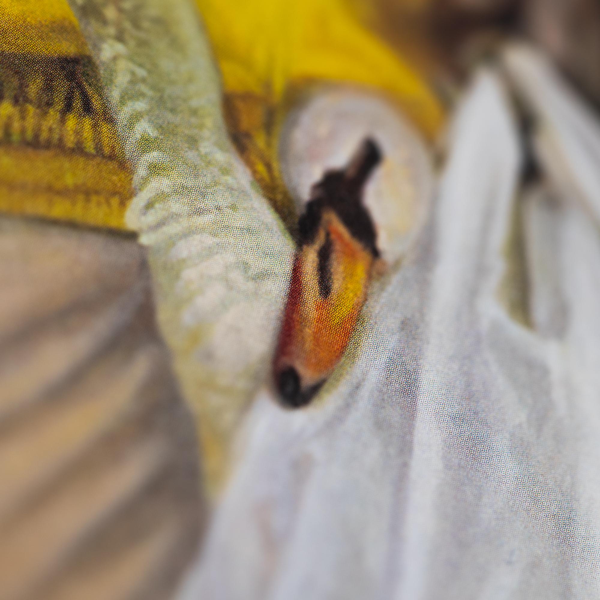 Beispielinhalt (Bild) Fassaden