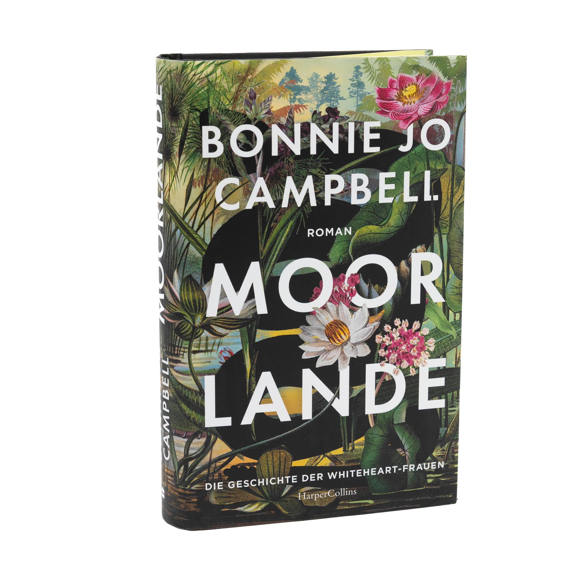 Beispielinhalt (Bild) Moorlande