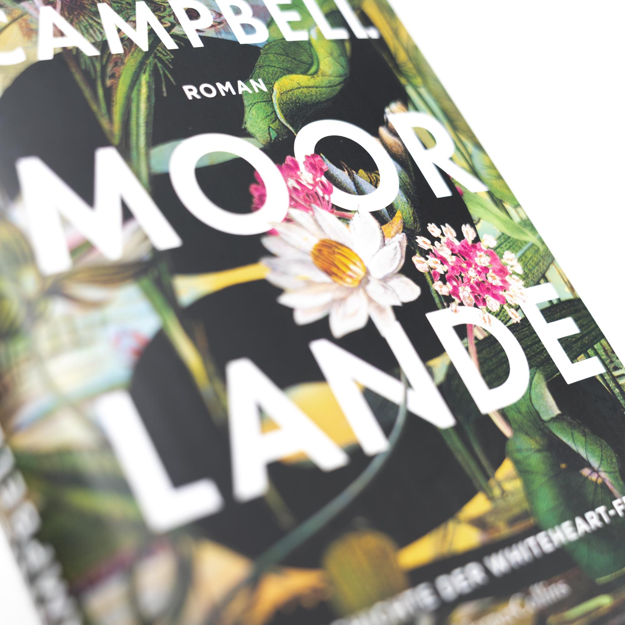 Beispielinhalt (Bild) Moorlande