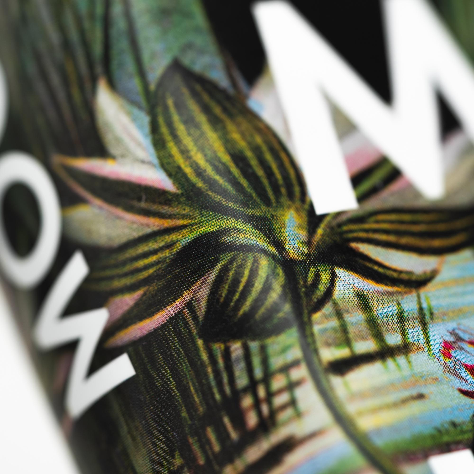 Beispielinhalt (Bild) Moorlande