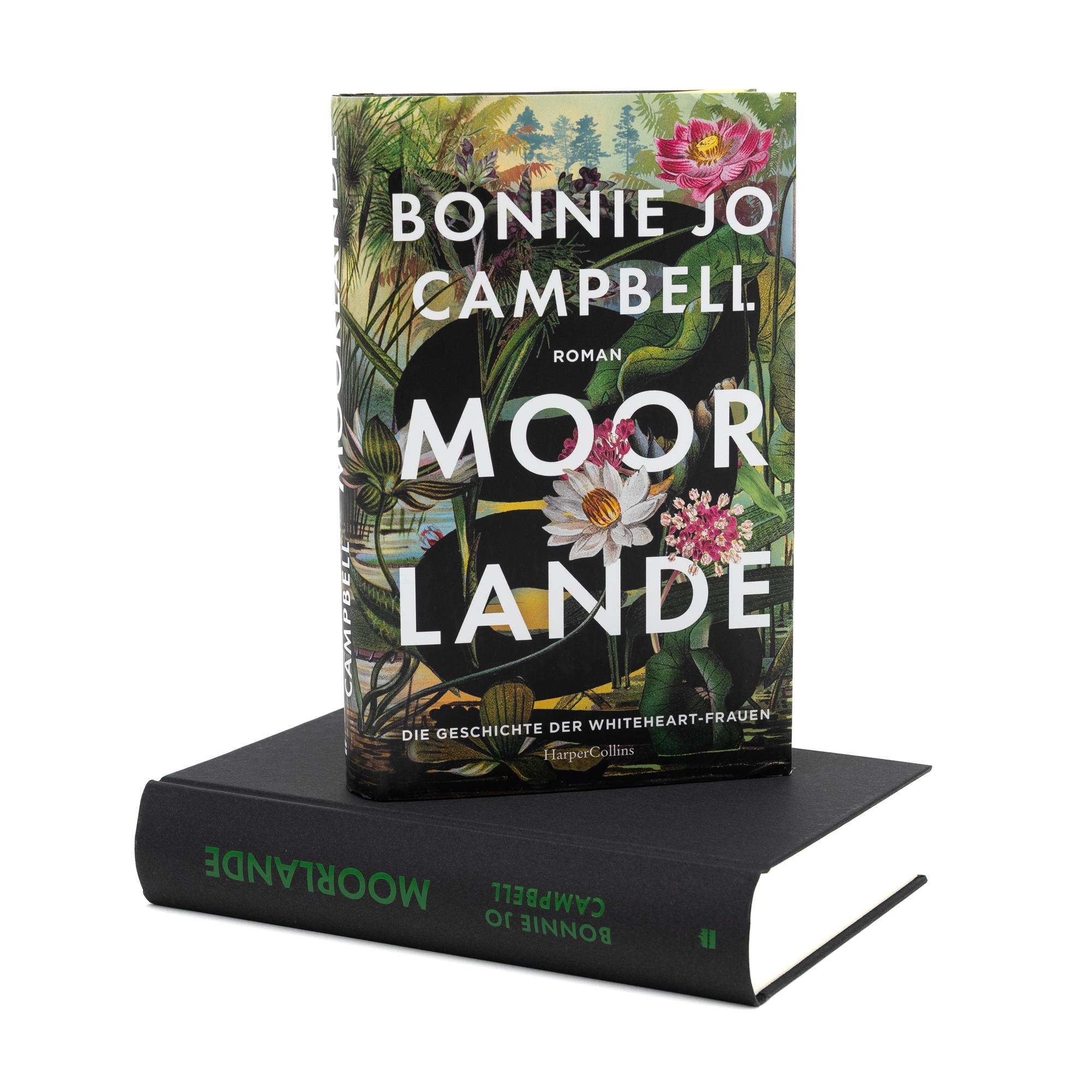 Beispielinhalt (Bild) Moorlande