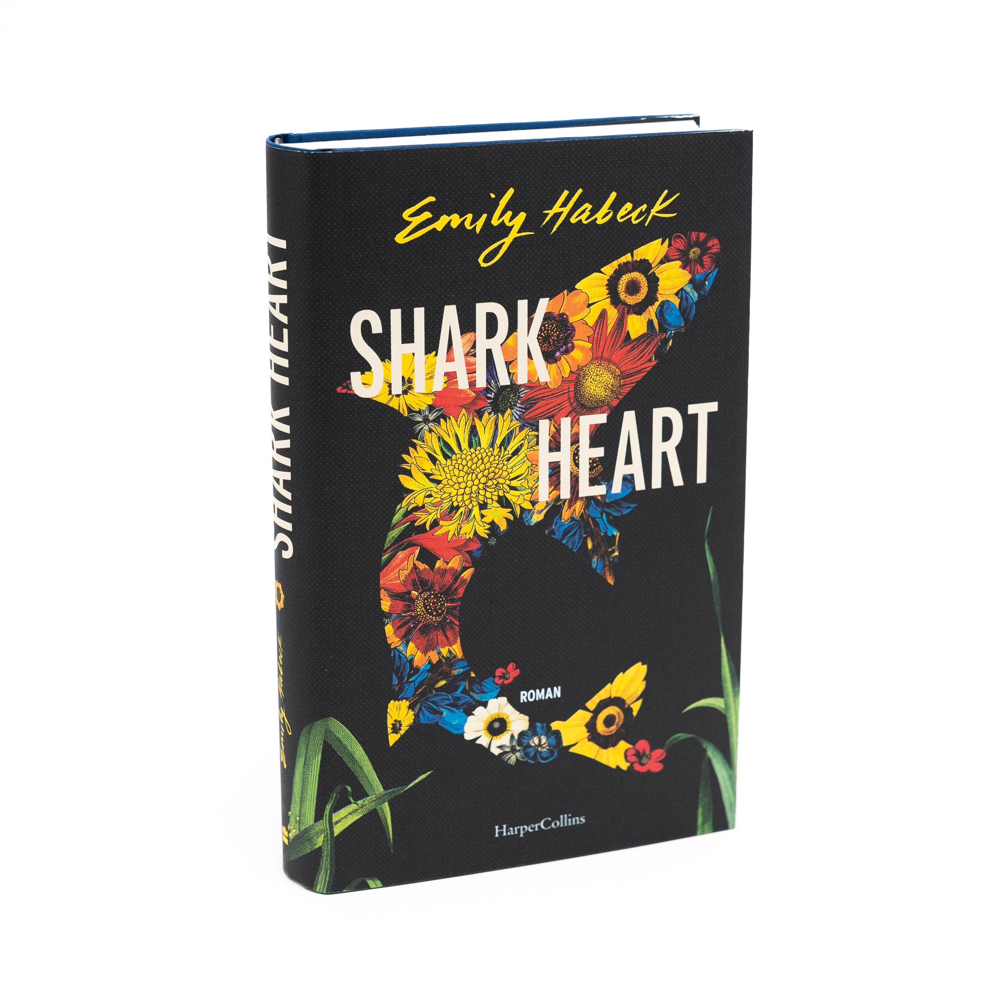 Beispielinhalt (Bild) Shark Heart