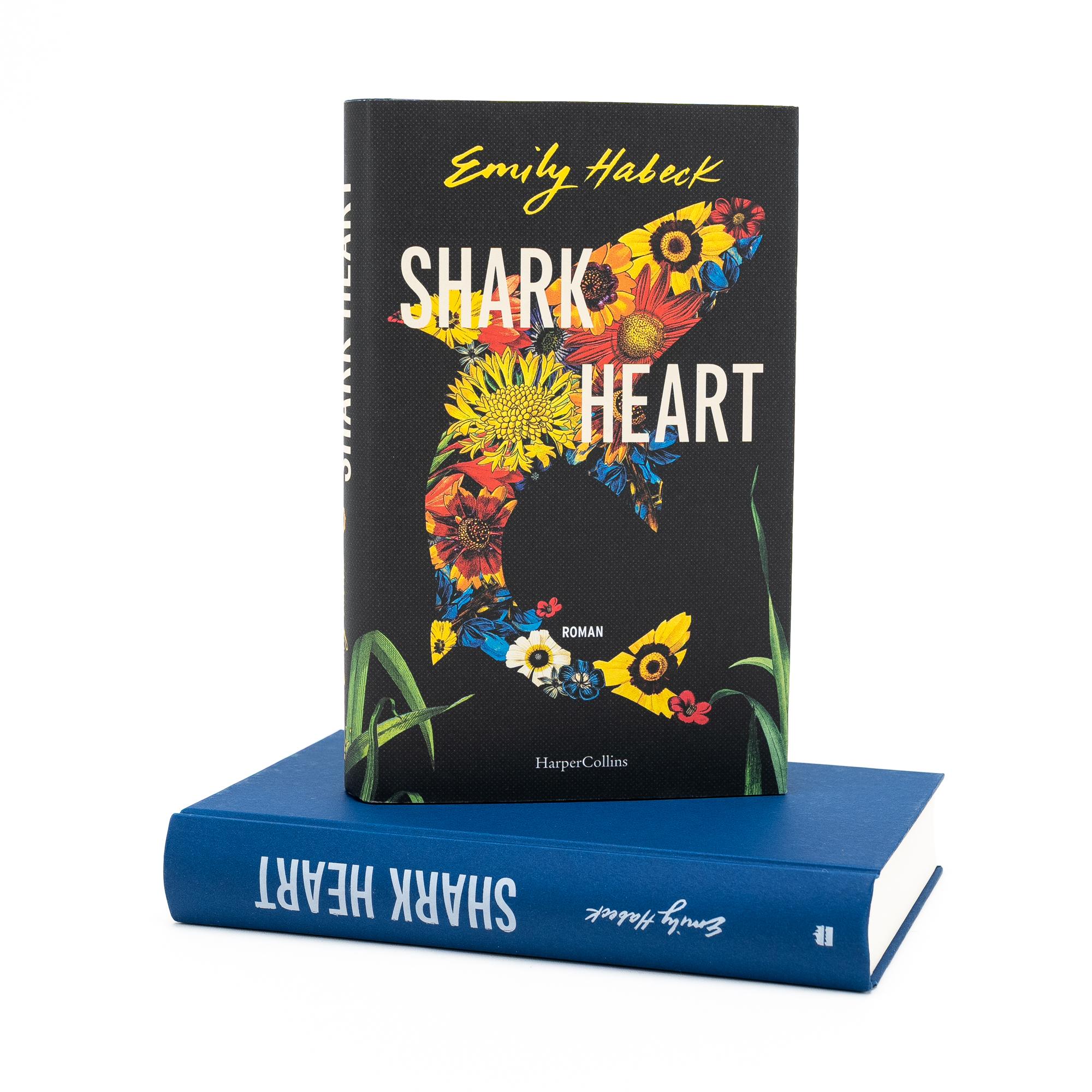 Beispielinhalt (Bild) Shark Heart