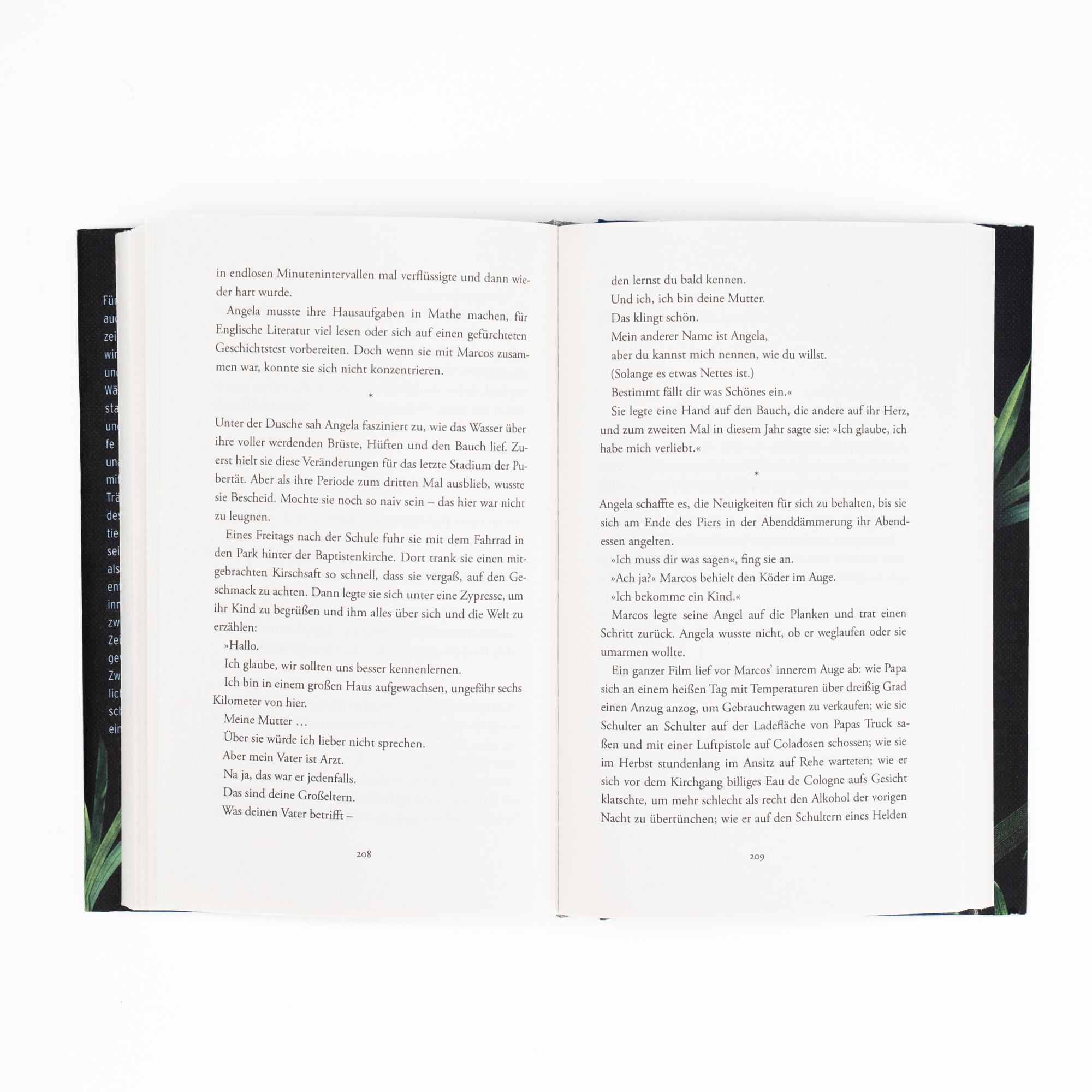 Beispielinhalt (Bild) Shark Heart