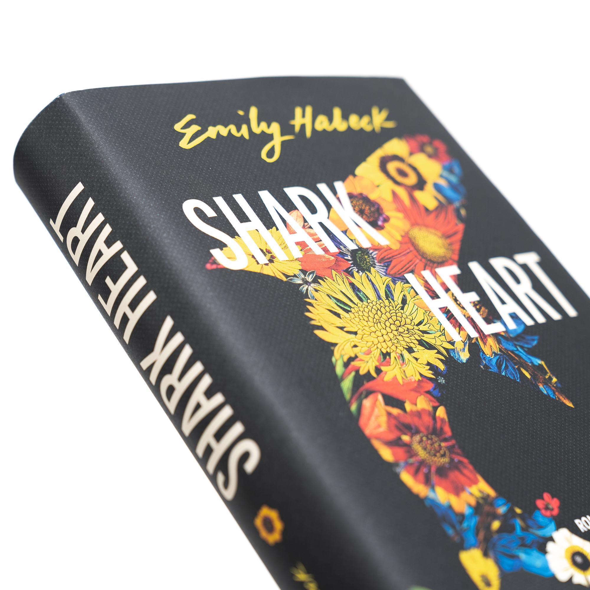 Beispielinhalt (Bild) Shark Heart