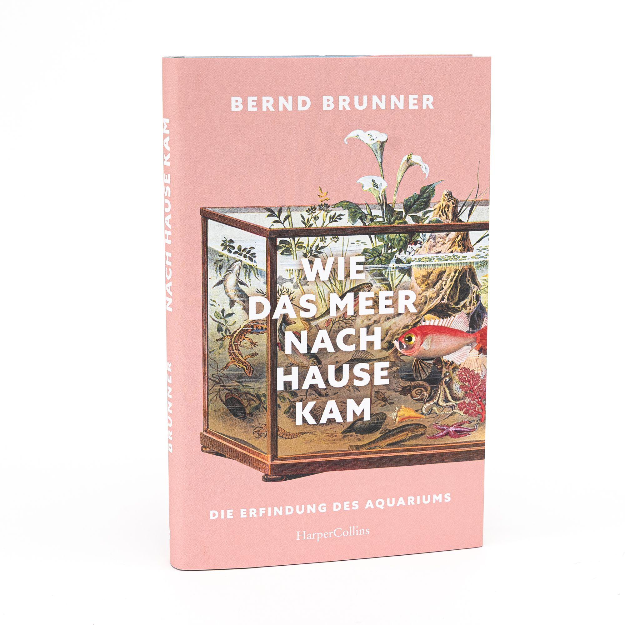 Beispielinhalt (Bild) Wie das Meer nach Hause kam. Die Erfindung des Aquariums