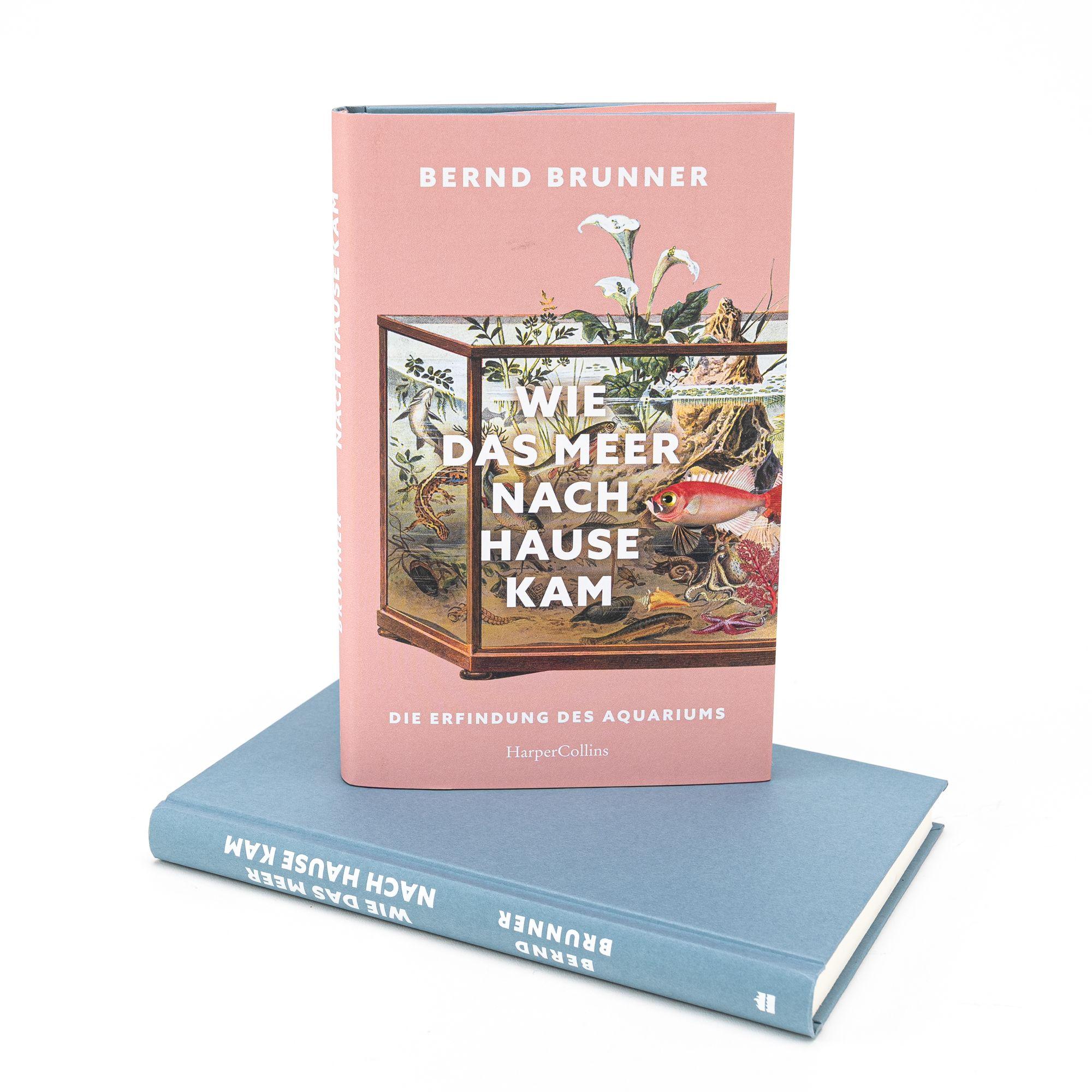 Beispielinhalt (Bild) Wie das Meer nach Hause kam. Die Erfindung des Aquariums