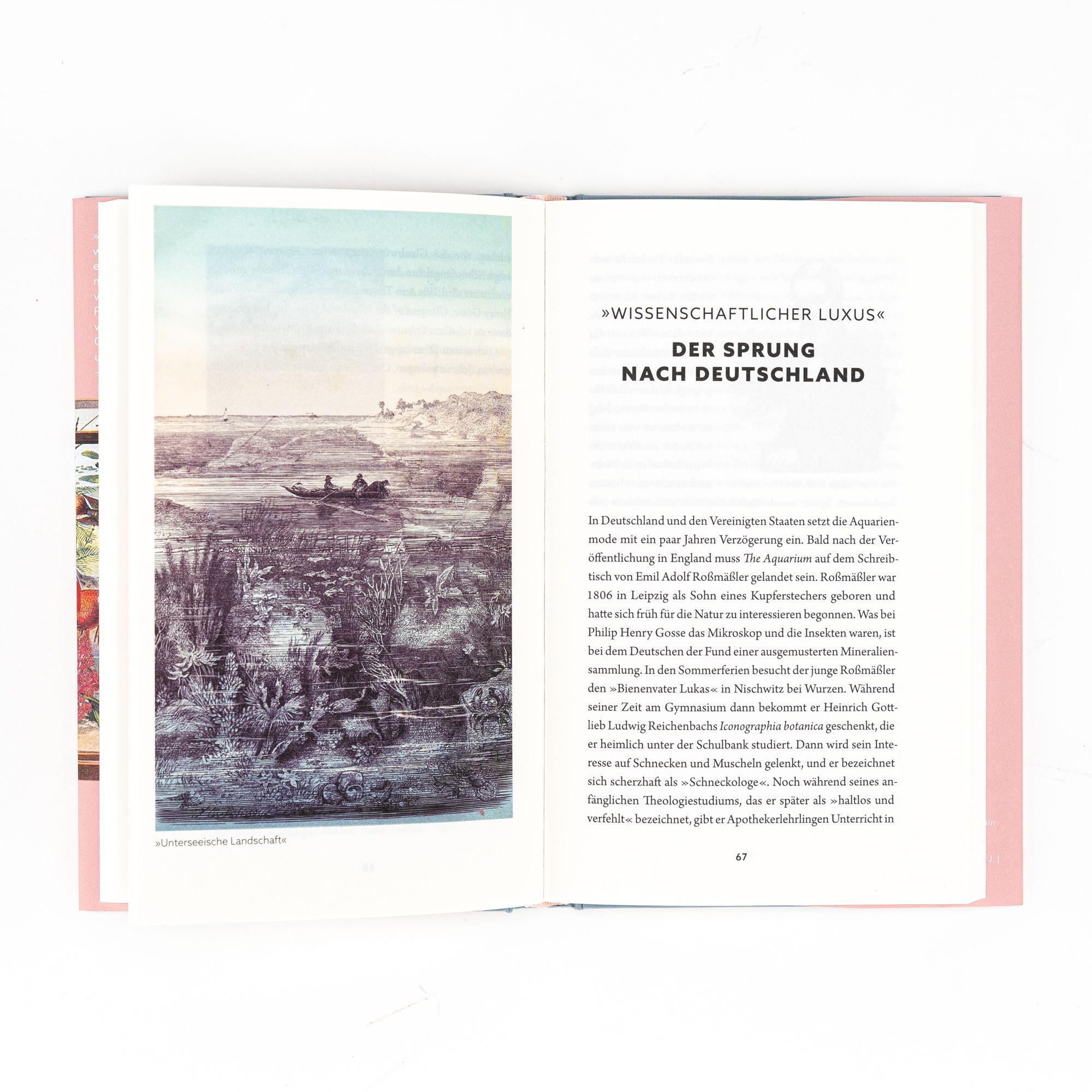 Beispielinhalt (Bild) Wie das Meer nach Hause kam. Die Erfindung des Aquariums