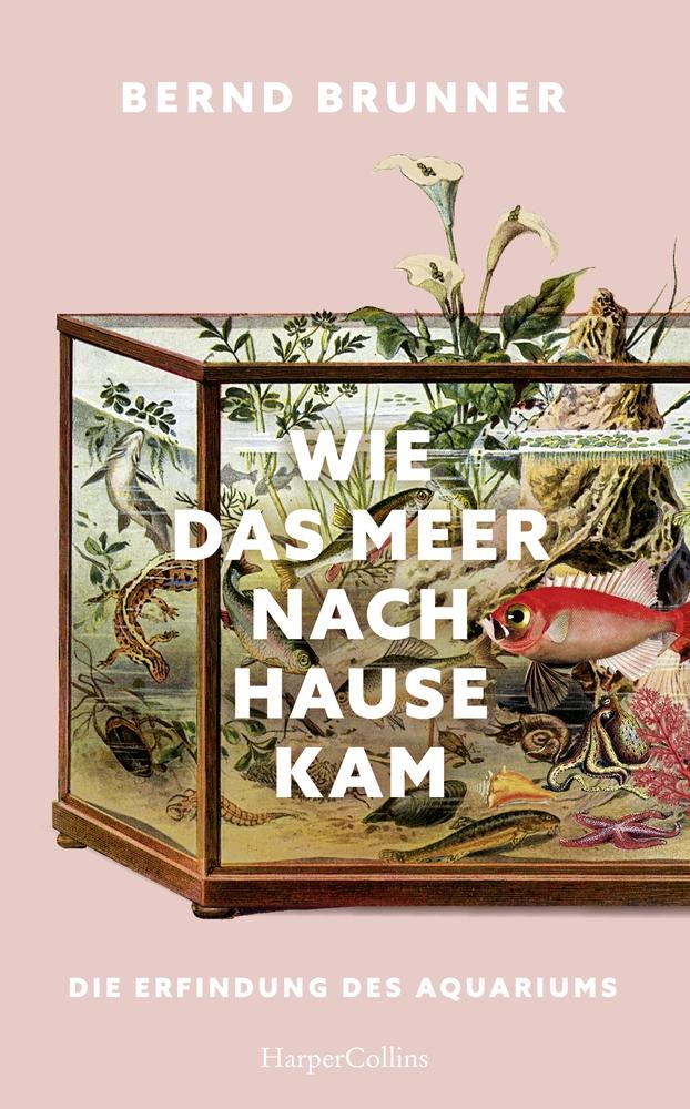 Vorderes Coverbild Wie das Meer nach Hause kam. Die Erfindung des Aquariums