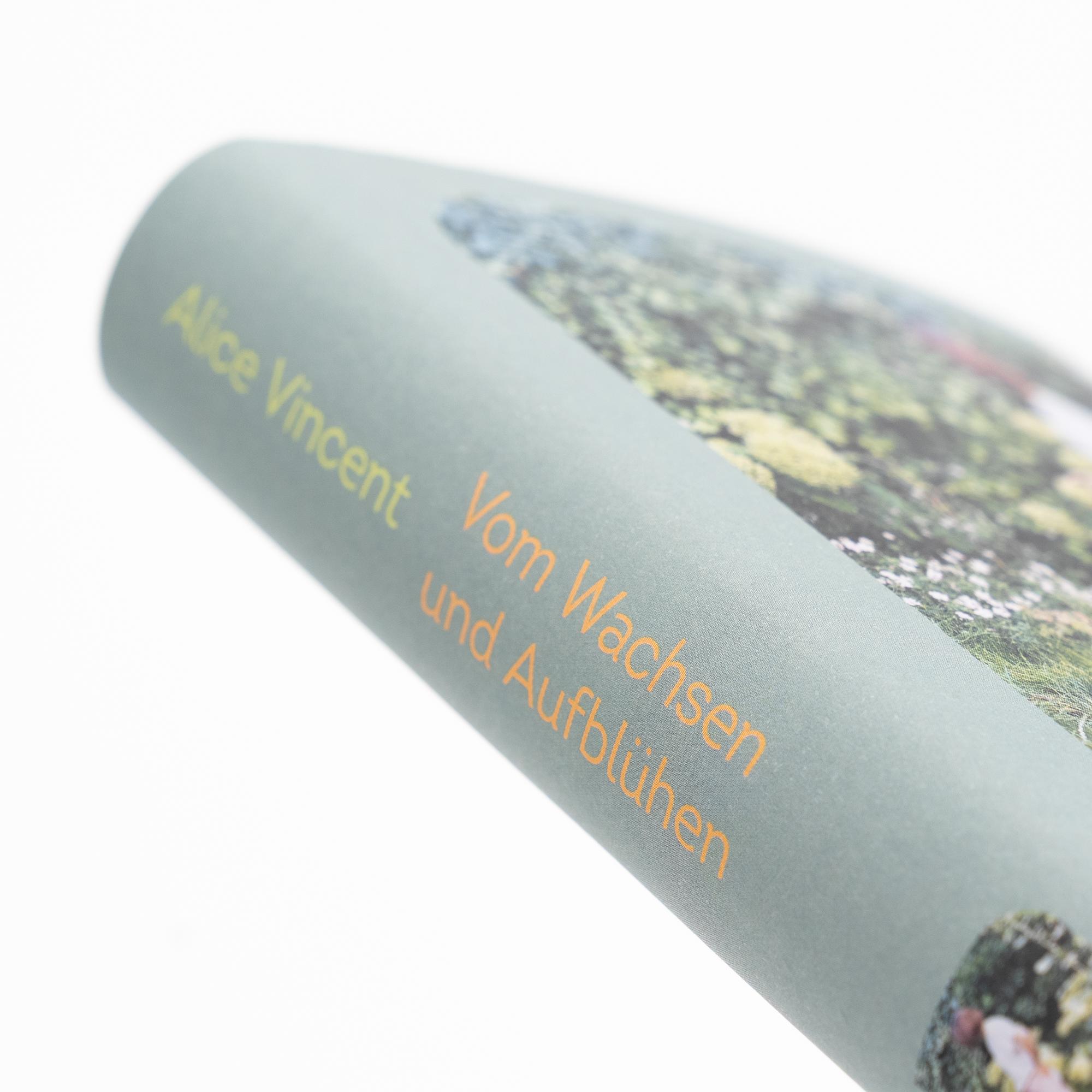 Beispielinhalt (Bild) Vom Wachsen und Aufblühen