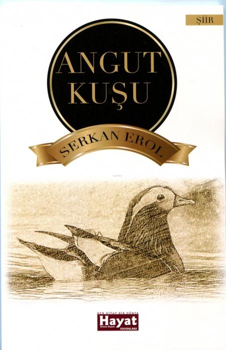 Vorderes Coverbild Angut Kusu