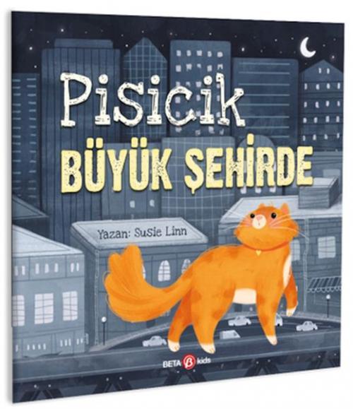 Vorderes Coverbild Pisicik Büyük Sehirde
