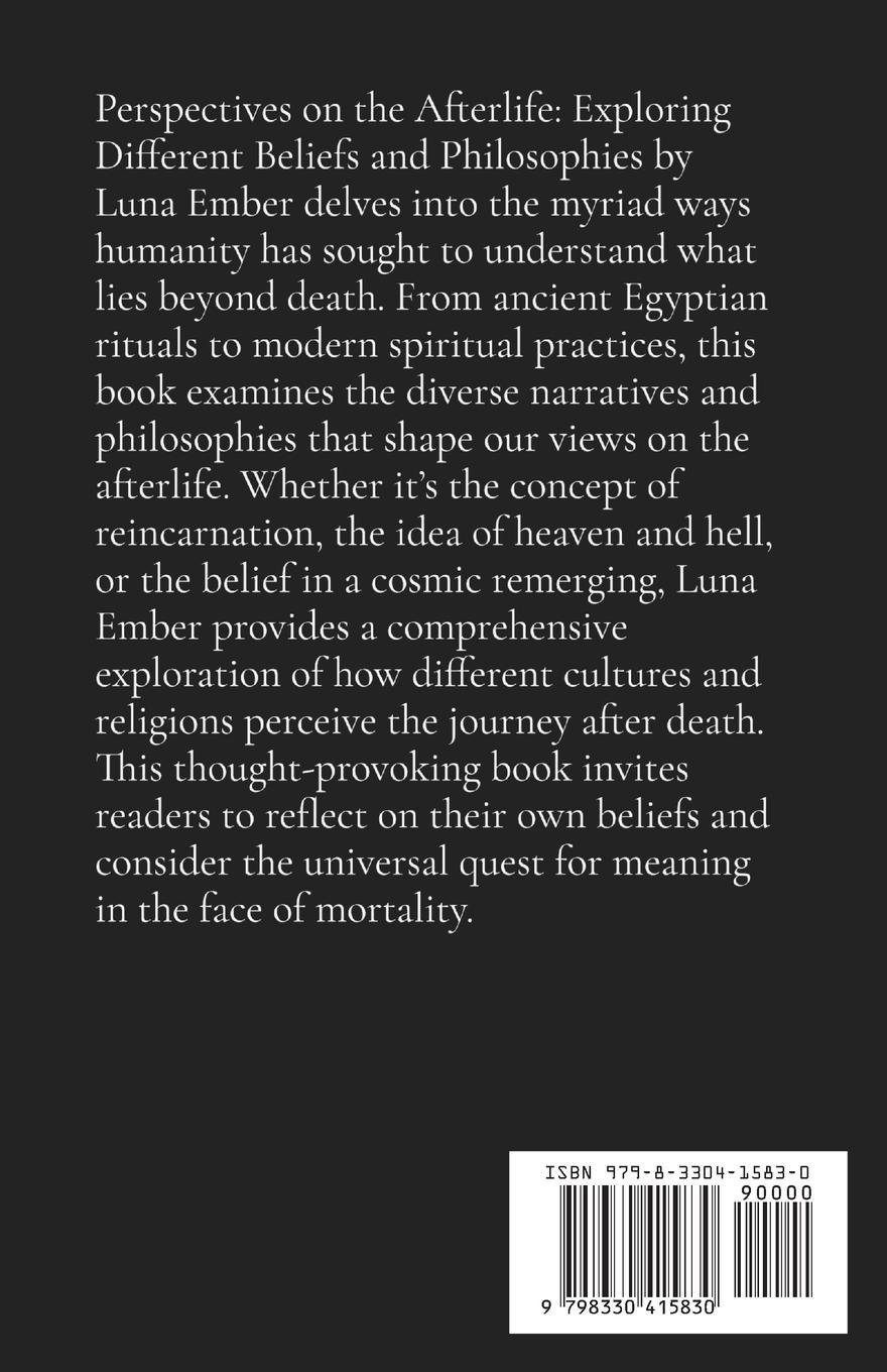 Rückseitencover Perspectives on the Afterlife