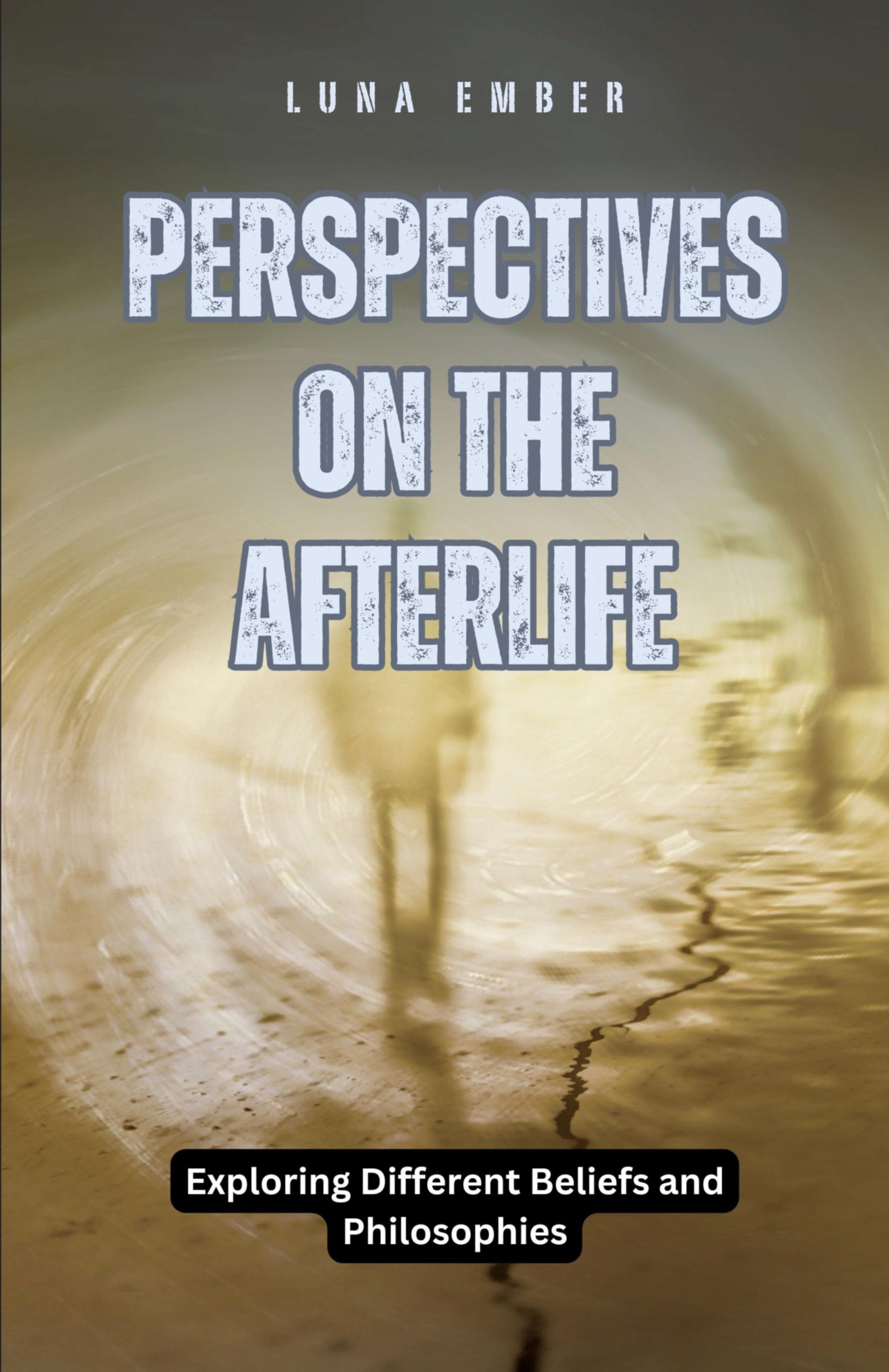 Vorderes Coverbild Perspectives on the Afterlife