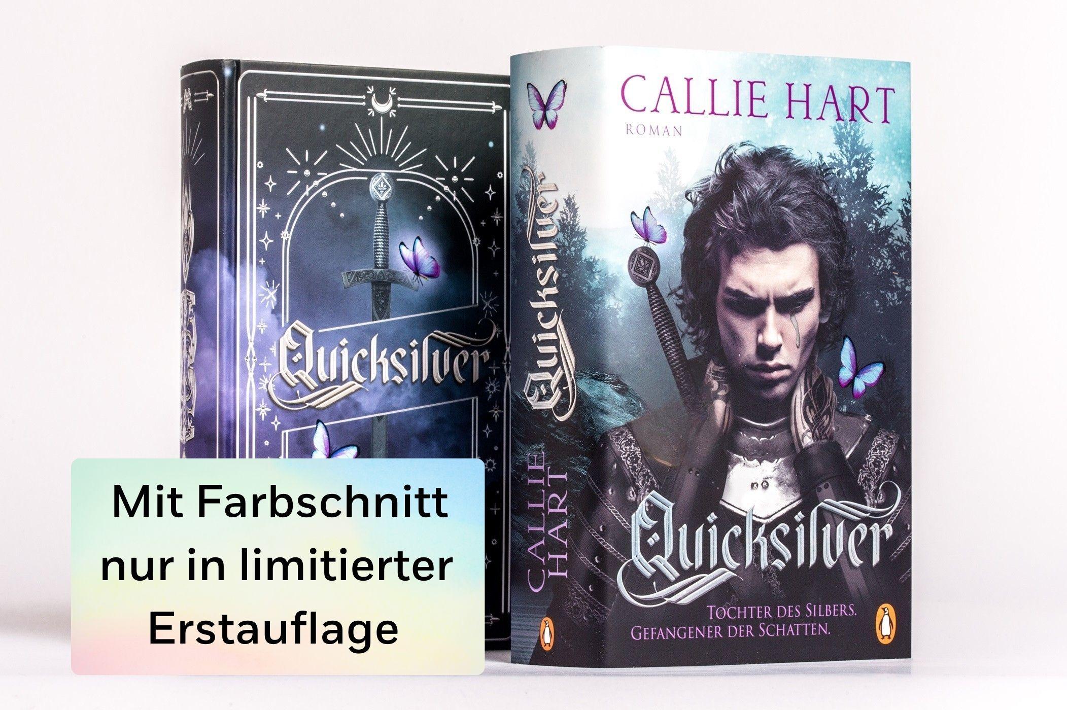 Beispielinhalt (Bild) Quicksilver - Tochter des Silbers. Gefangener der Schatten