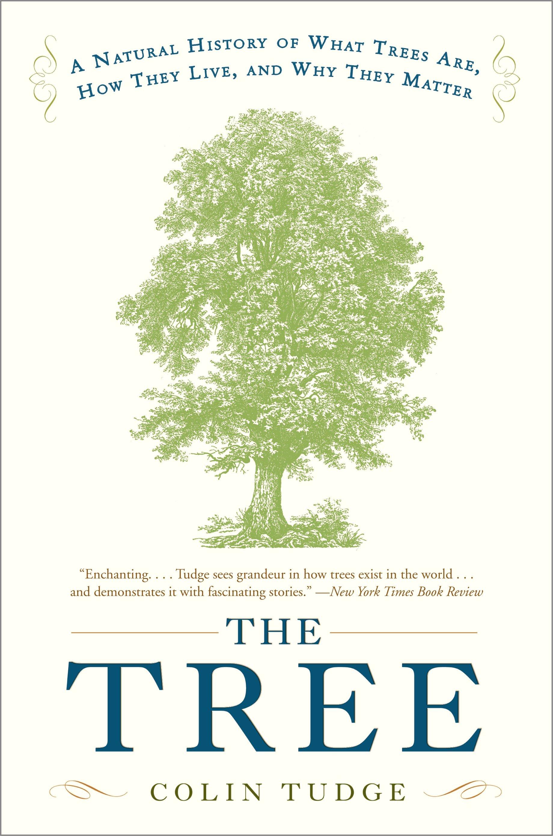 Vorderes Coverbild The Tree