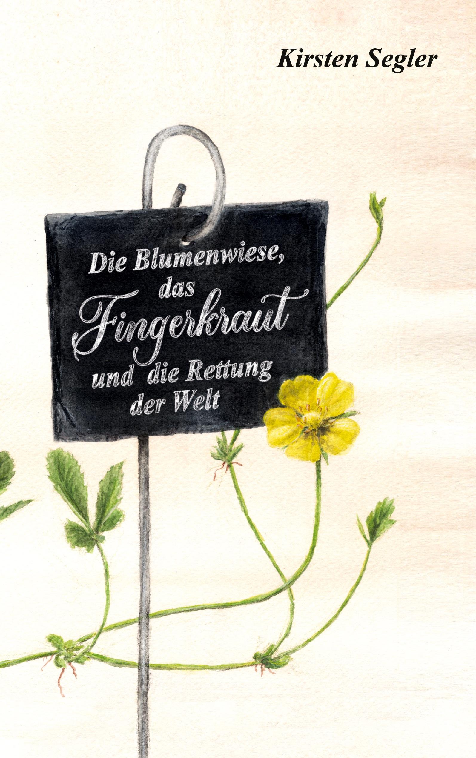 Vorderes Coverbild Die Blumenwiese, das Fingerkraut und die Rettung der Welt