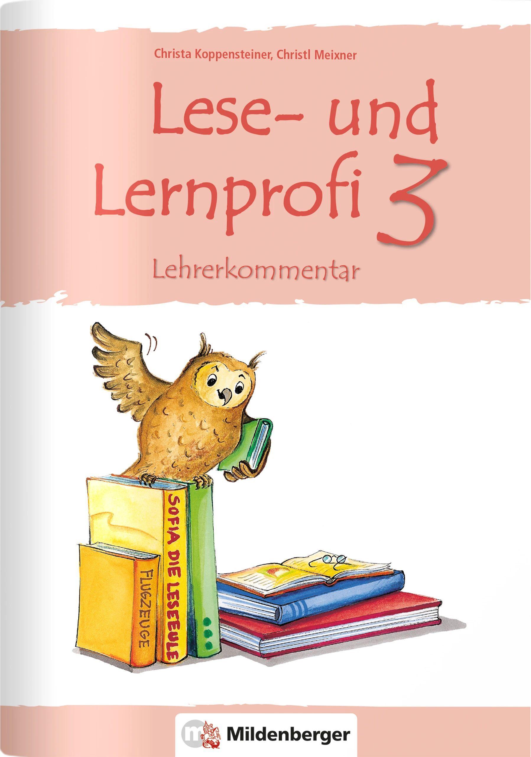 Vorderes Coverbild Lese- und Lernprofi 3