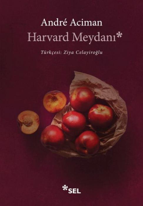 Vorderes Coverbild Harvard Meydani