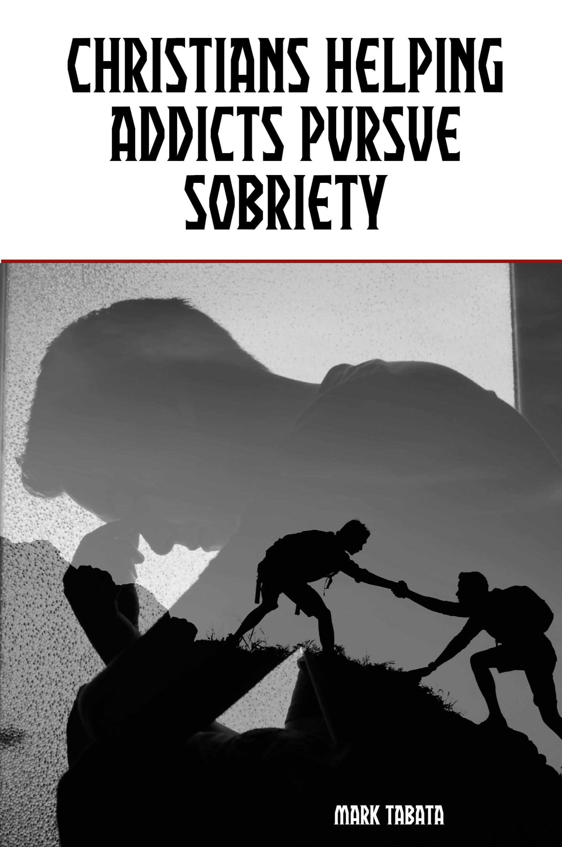 Vorderes Coverbild Christians Helping Addicts Pursue Sobriety