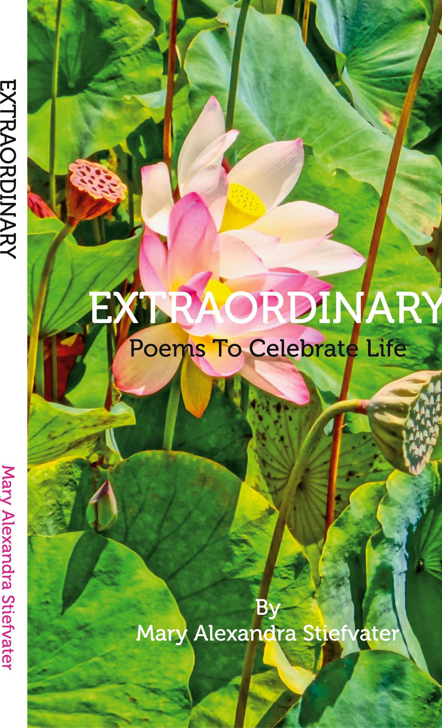 Vorderes Coverbild Extraordinary