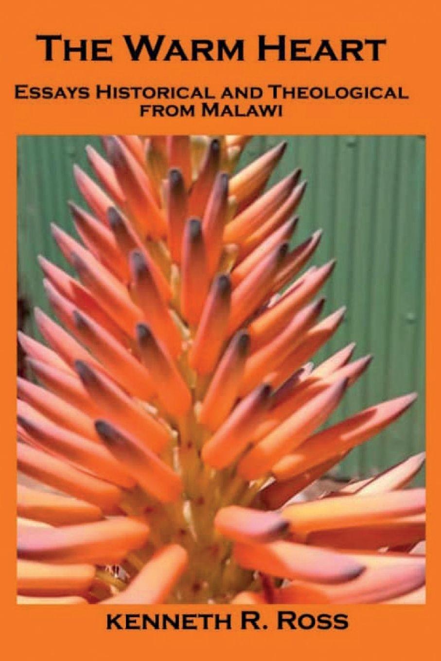 Vorderes Coverbild The Warm Heart