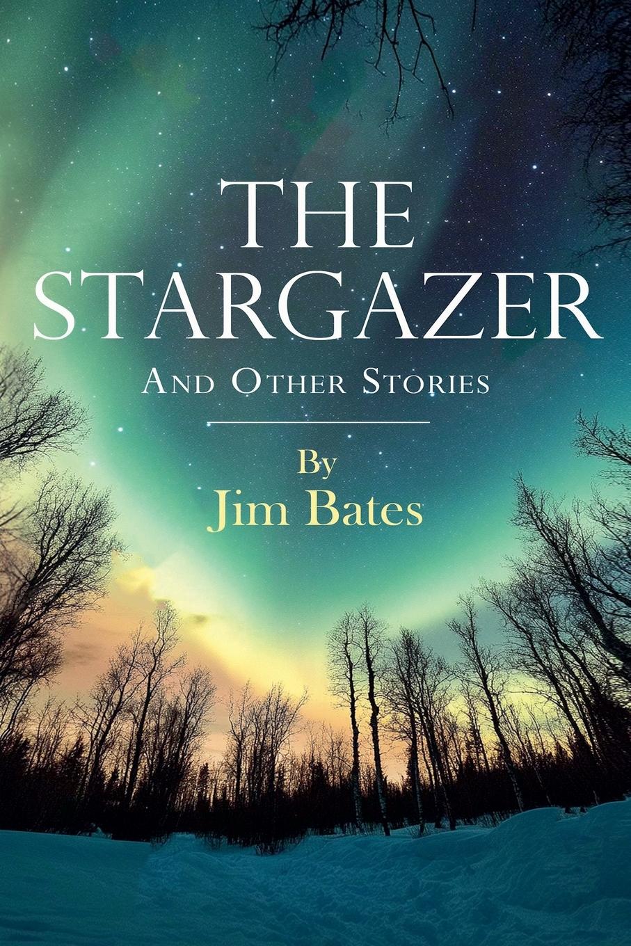 Vorderes Coverbild The Stargazer
