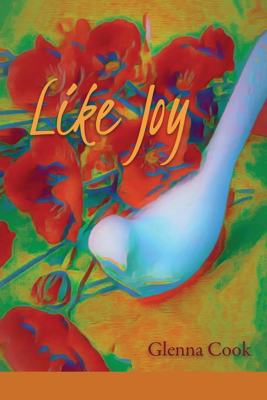 Vorderes Coverbild Like Joy