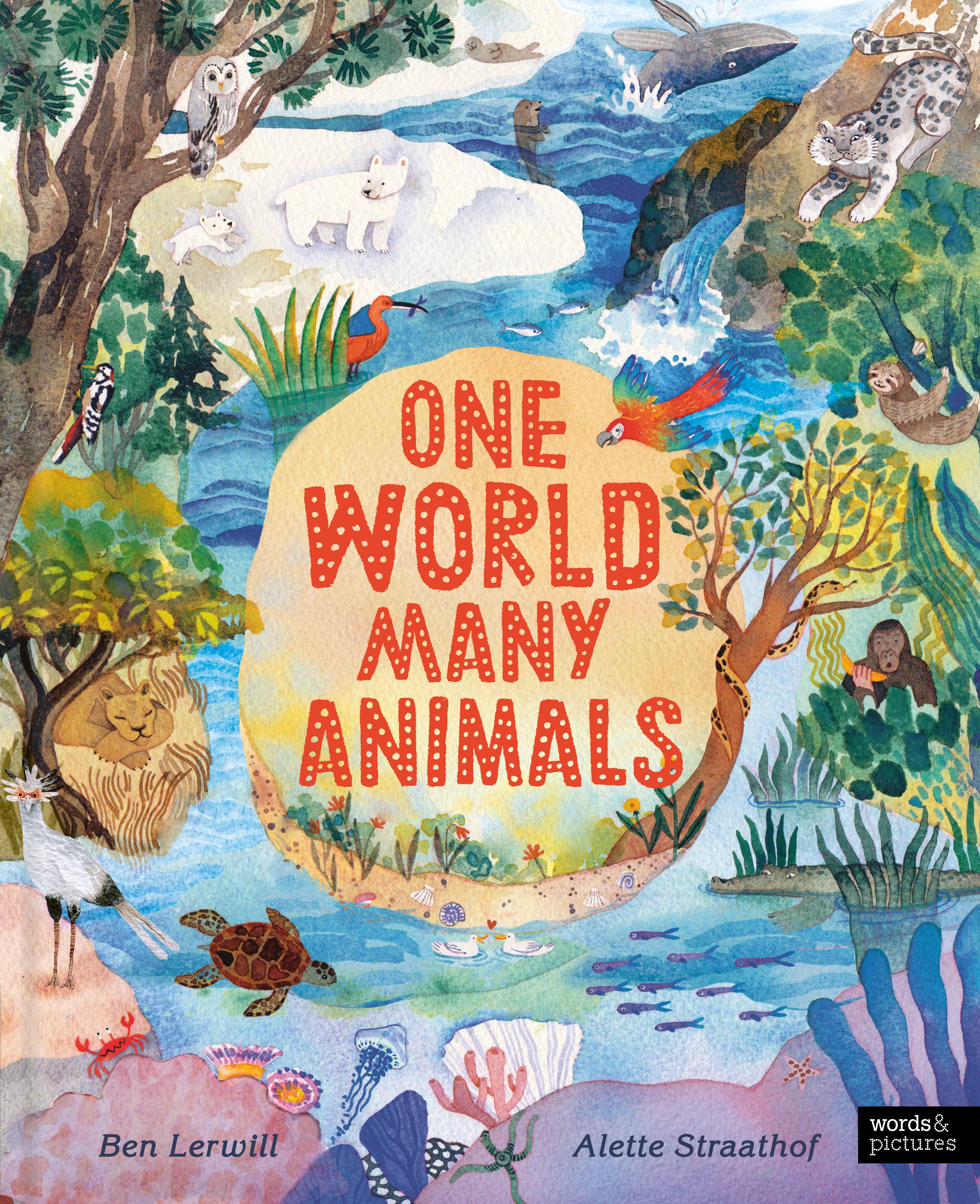 Vorderes Coverbild One World, Many Animals
