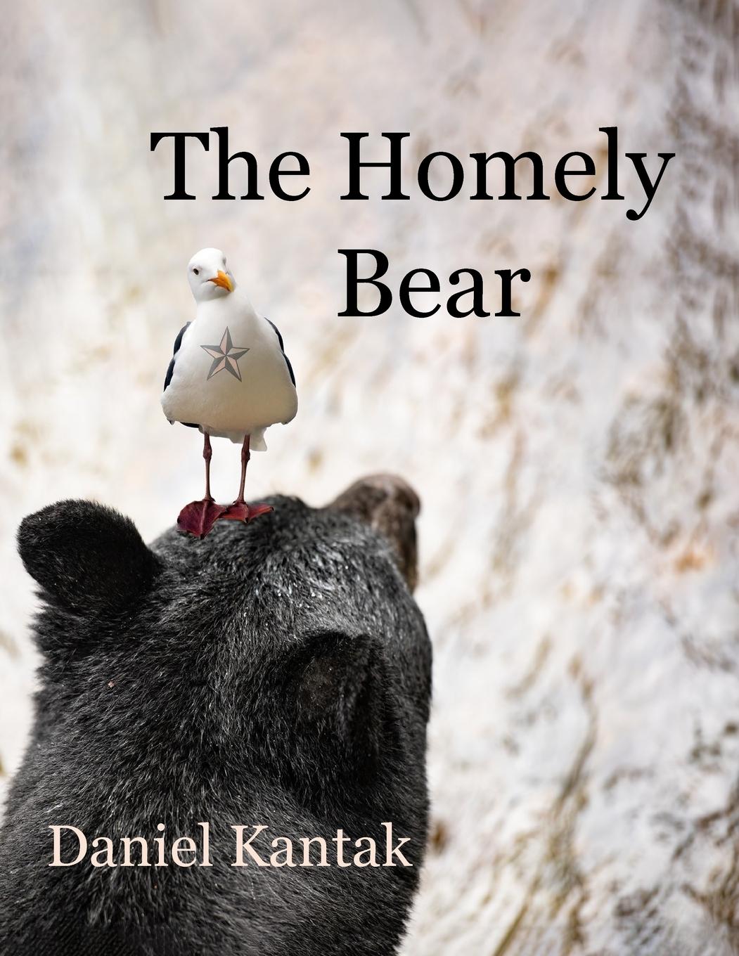 Vorderes Coverbild The Homely Bear