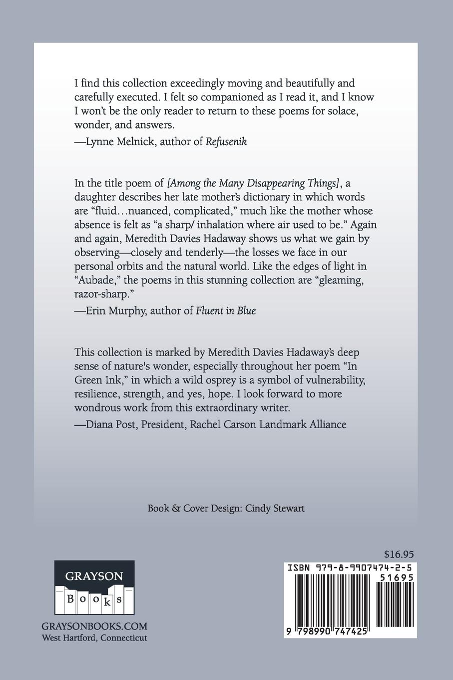 Rückseitencover [Among the Many Disappearing Things]