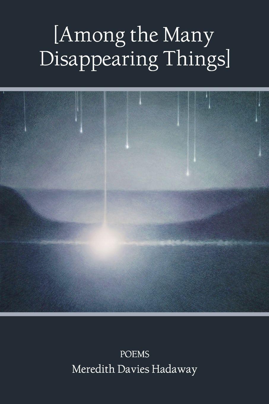 Vorderes Coverbild [Among the Many Disappearing Things]