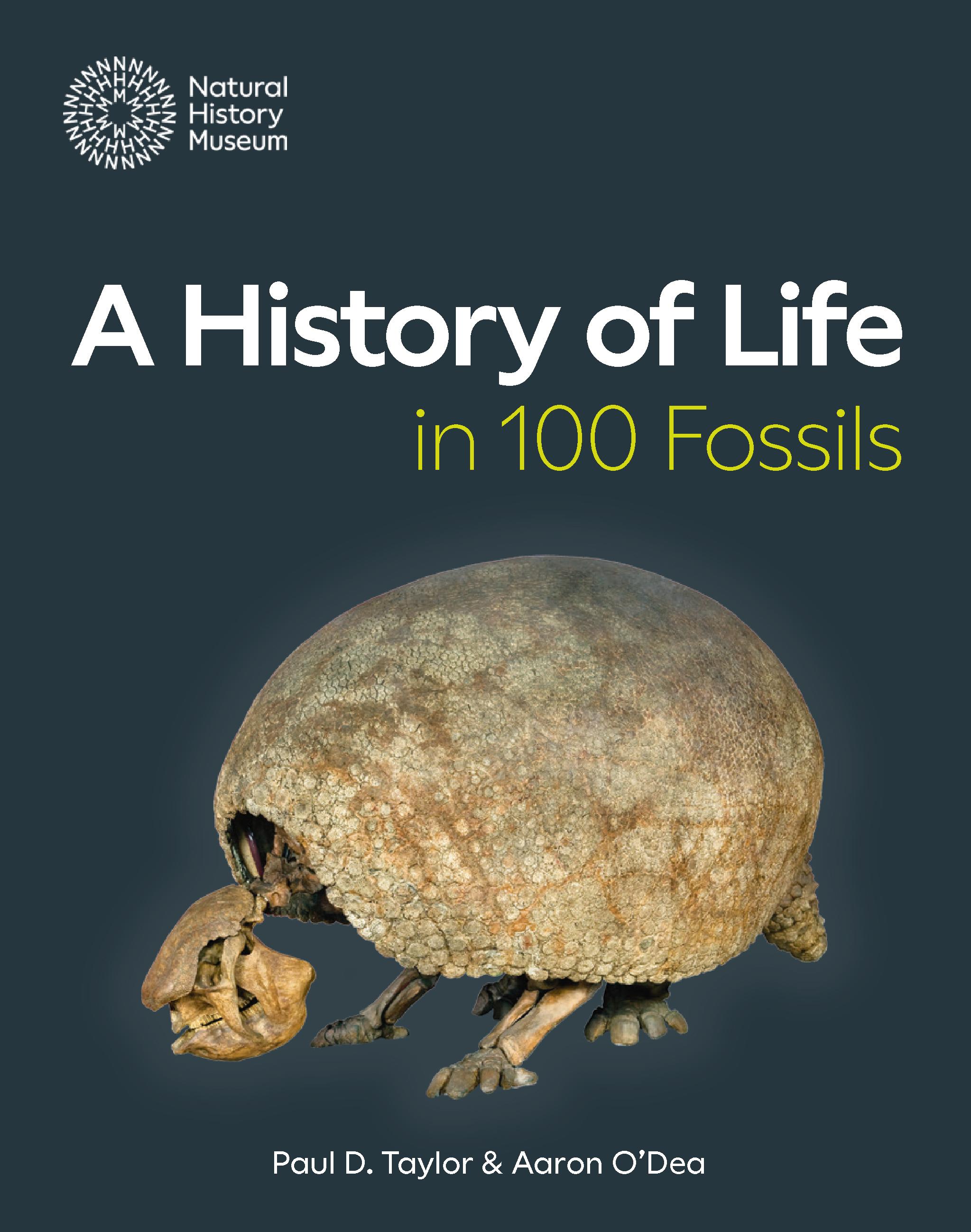 Vorderes Coverbild A History of Life in 100 Fossils
