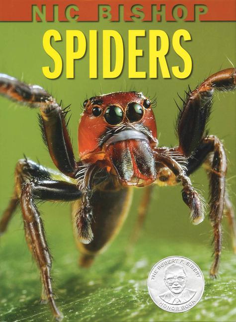 Vorderes Coverbild Nic Bishop: Spiders