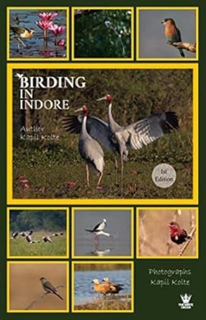 Vorderes Coverbild Birding In Indore